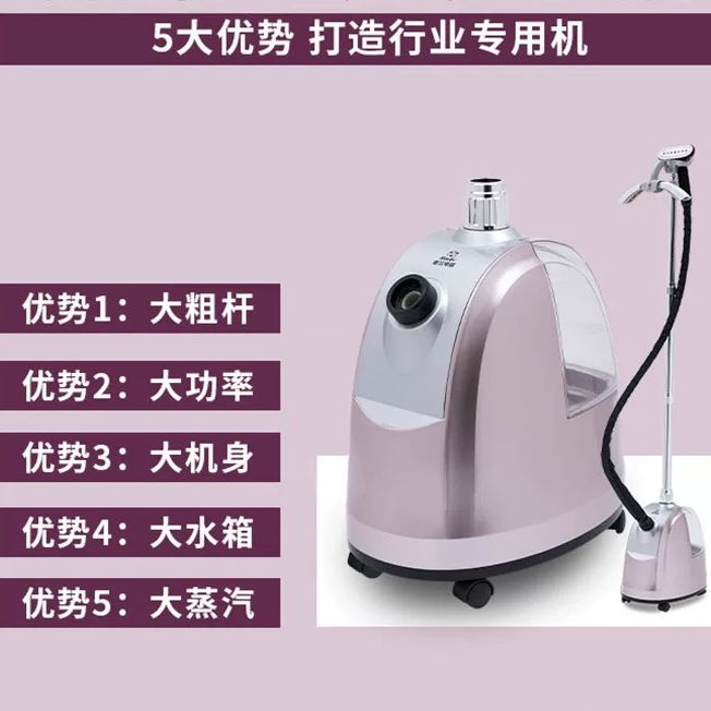Professional Garment Steamer