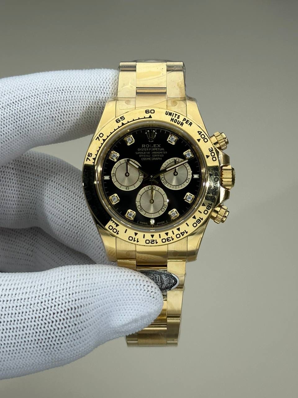 C厂！新款金迪🌟