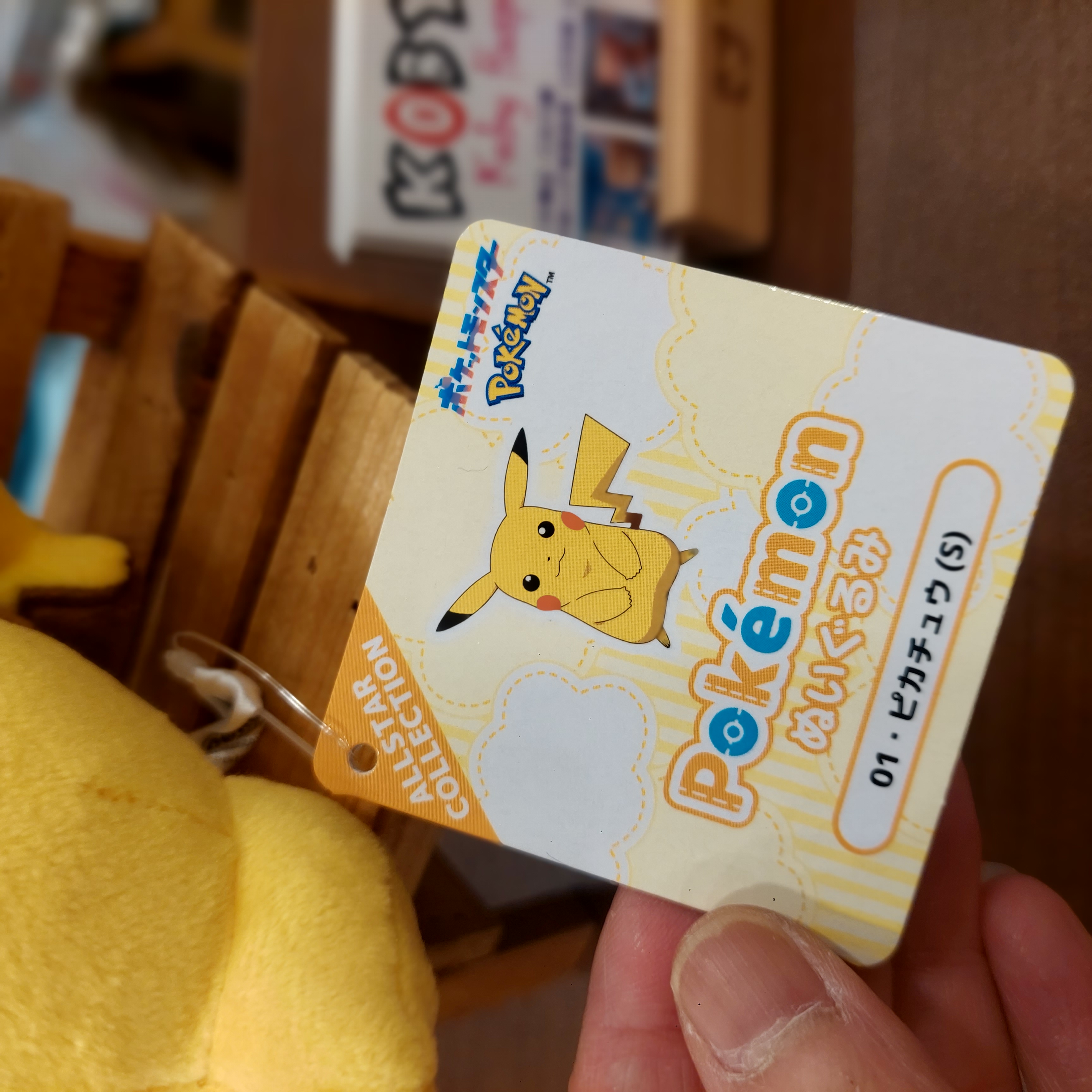 原裝日本 pokemon  比卡超 寶可夢 系列 比卡超公仔 19cm
