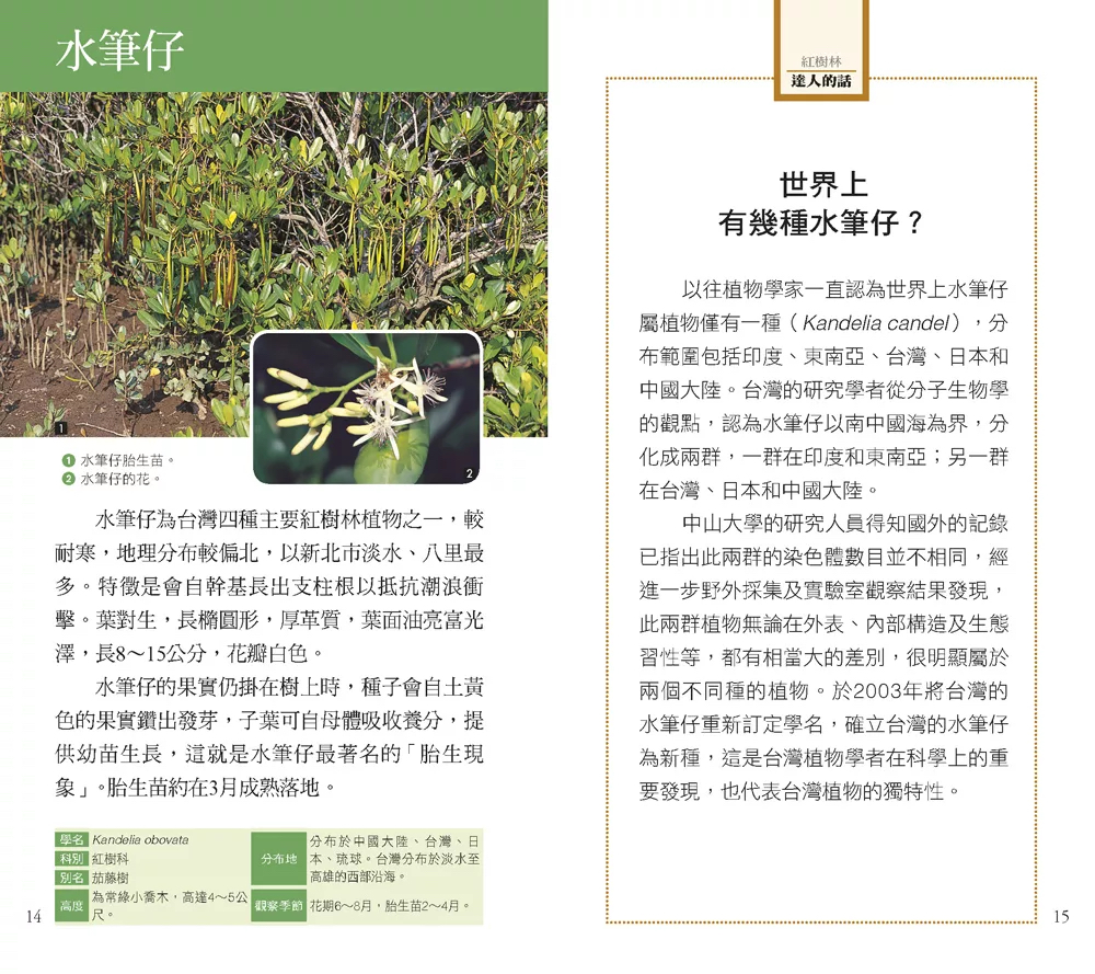 人人 紅樹林：106種紅樹林生物的奧祕