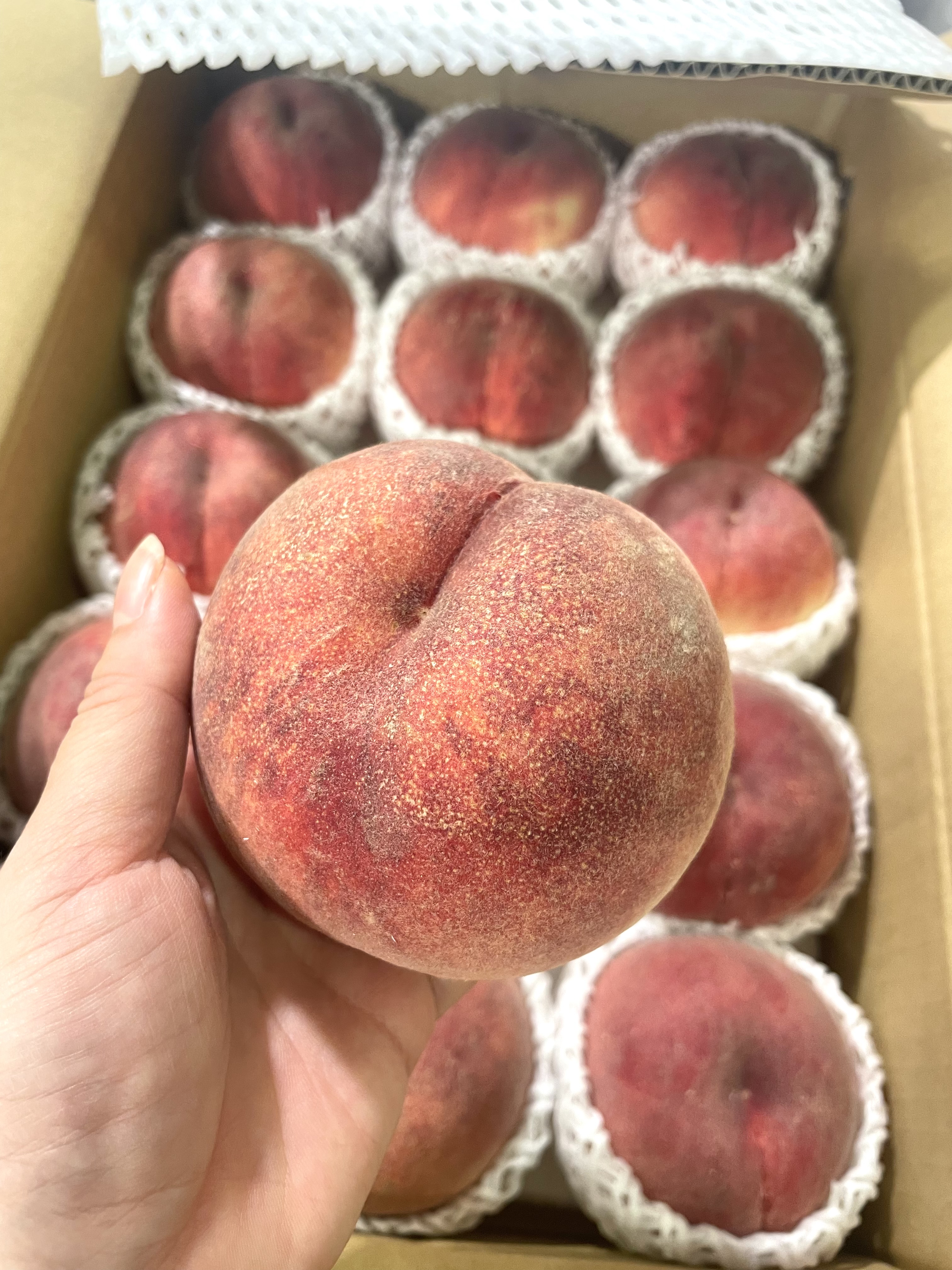 日本山梨「大藤水蜜桃」$165/2個