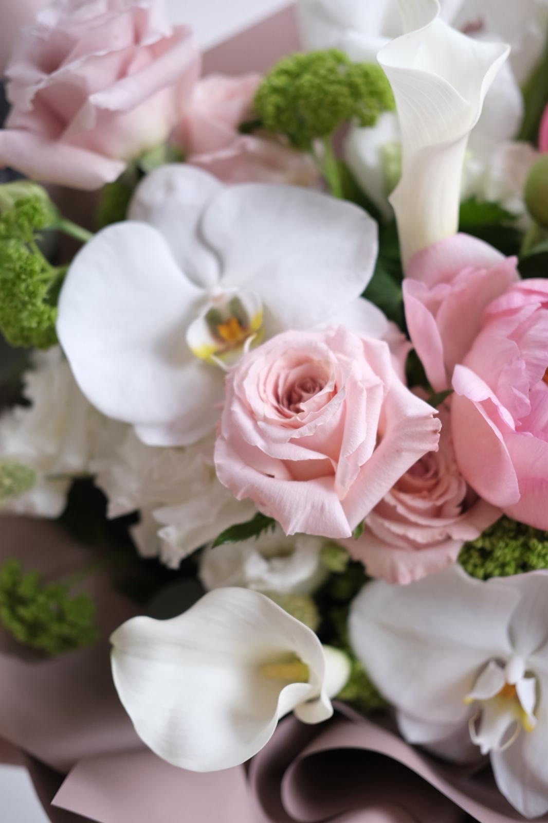 Blushing butterfly 🩷