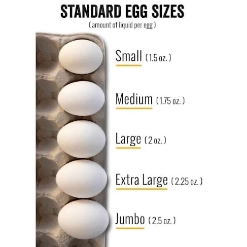 💧澳洲 有機走地雞蛋 Australia Sunny Queen Organic Free Range Chicken Eggs