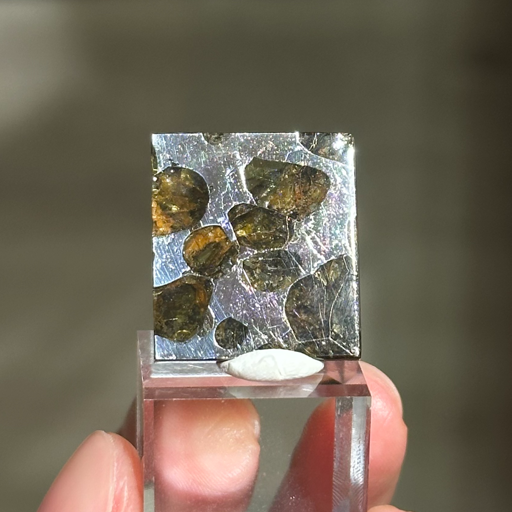 橄欖鐵隕石 - Pallasite Meteorite｜PA01