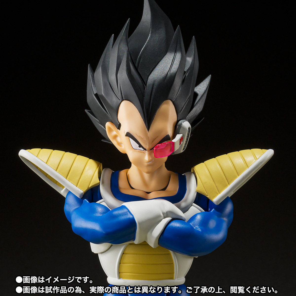 SHF Dragon Ball Z Vegeta 24000
