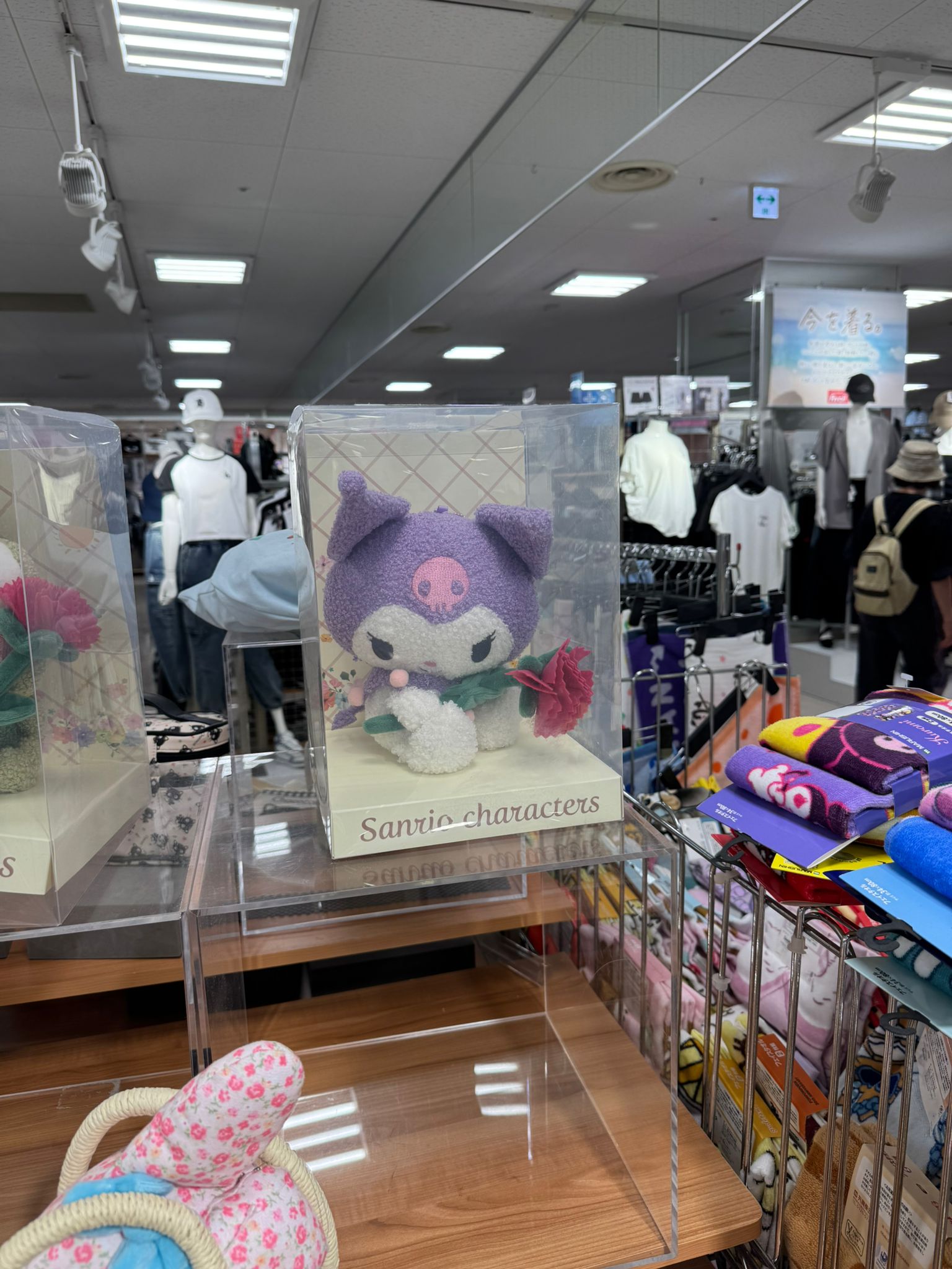 ✨連線商品需補運費✨Avail Sanrio Characters 康乃馨毛公仔連透明禮盒 (Kuromi)