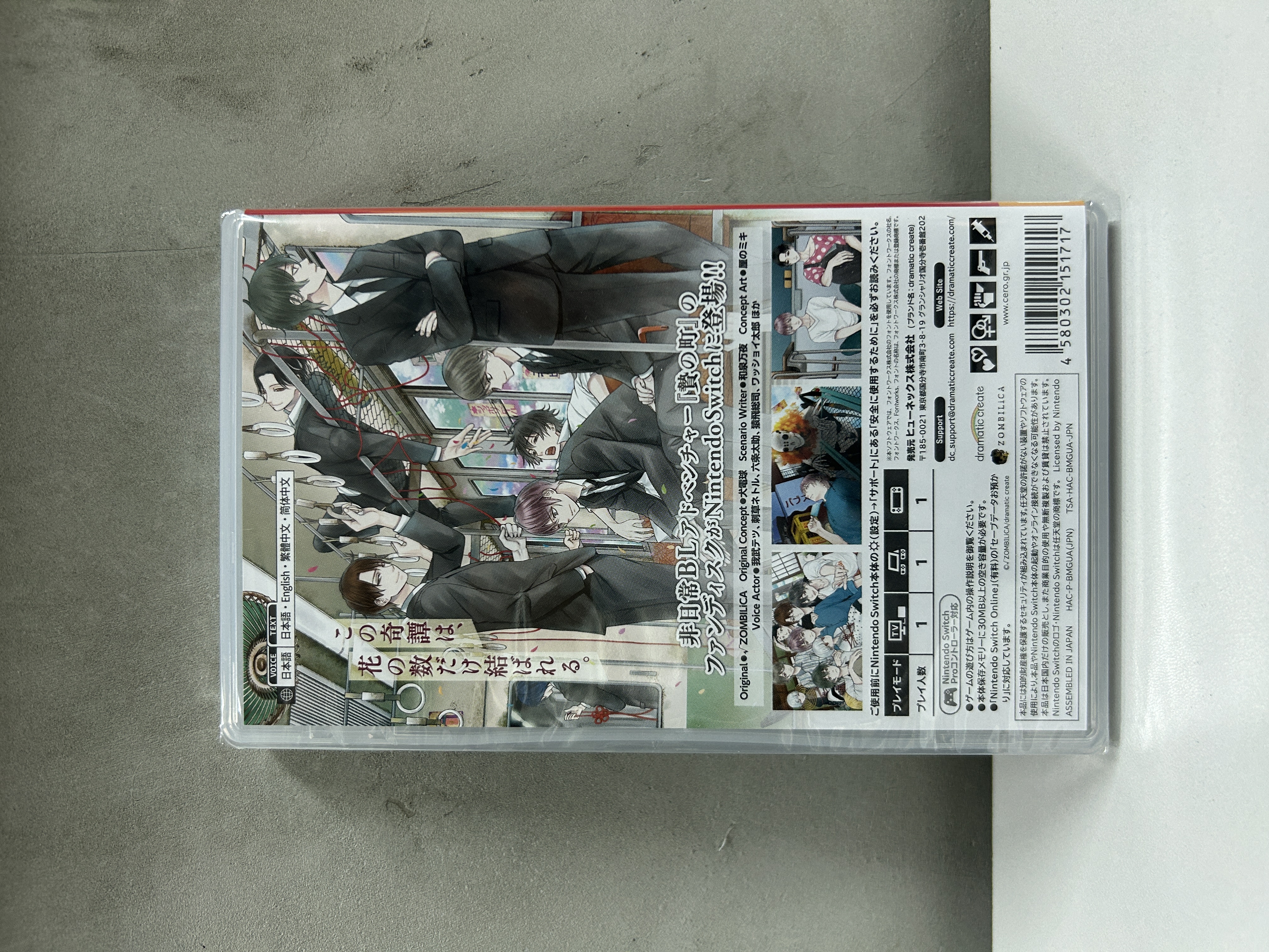 【香港行貨】Nintendo Switch 活祭之城 彩結  The Town of Nie Iro musubi