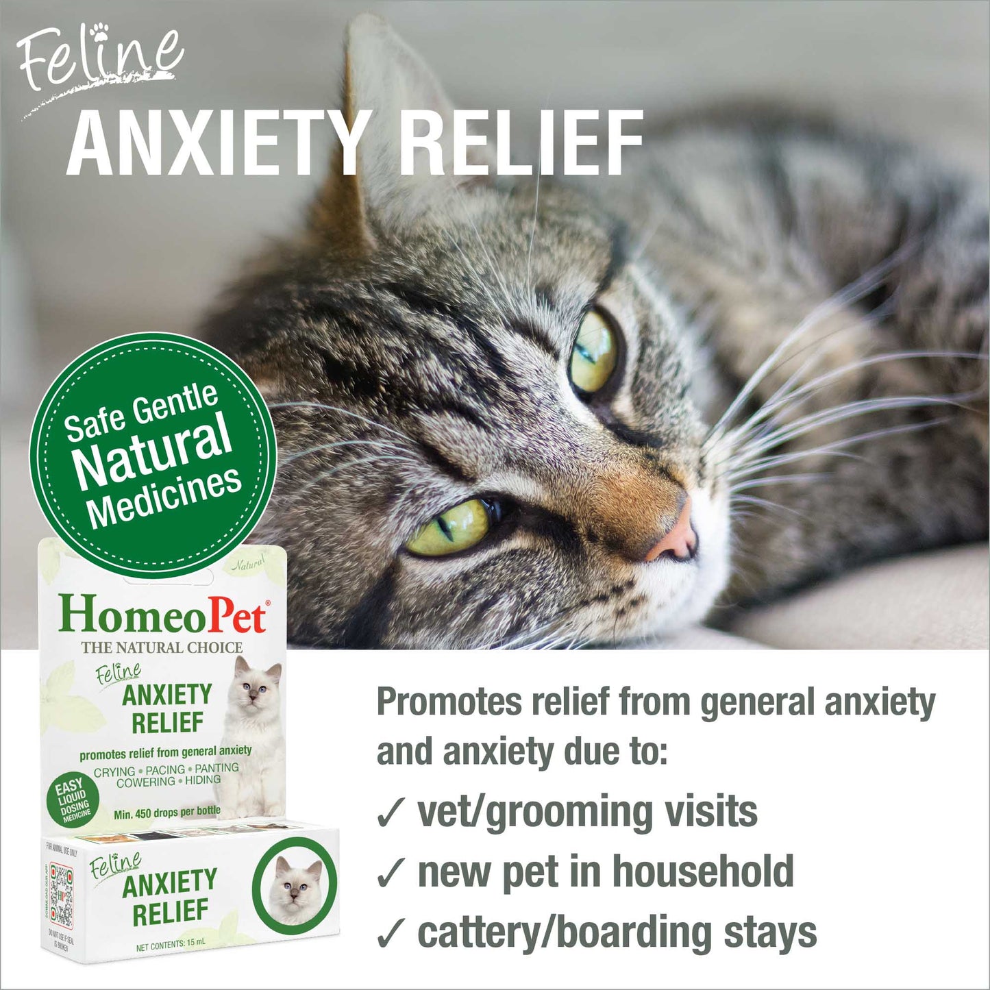 美國 HomeoPet Feline Anxiety Relief for Cats 貓用天然緩解焦慮滴劑 15ml