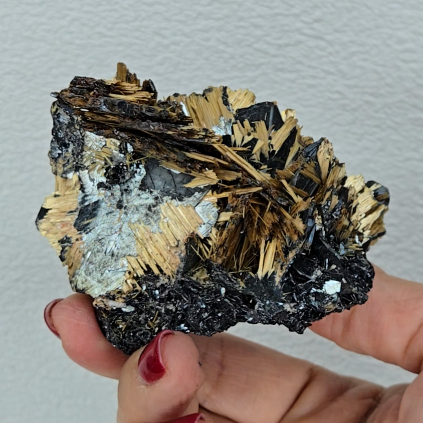 Golden exposed starburst rutiles on black hematite - RT288