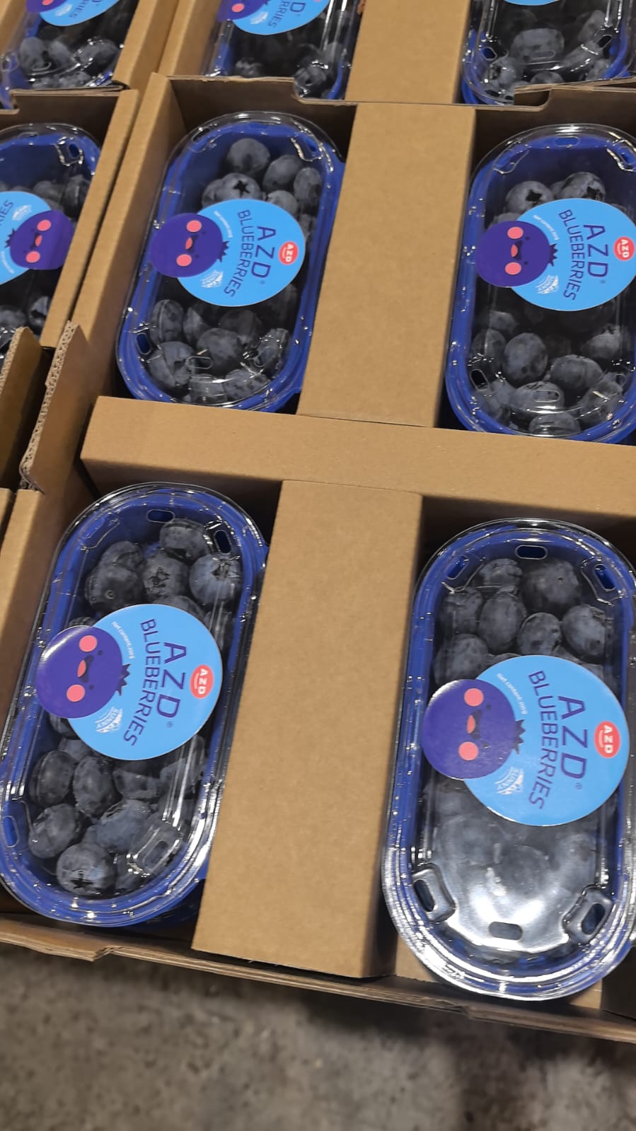 雲南高山jumbo大 蓝莓 每份两盒