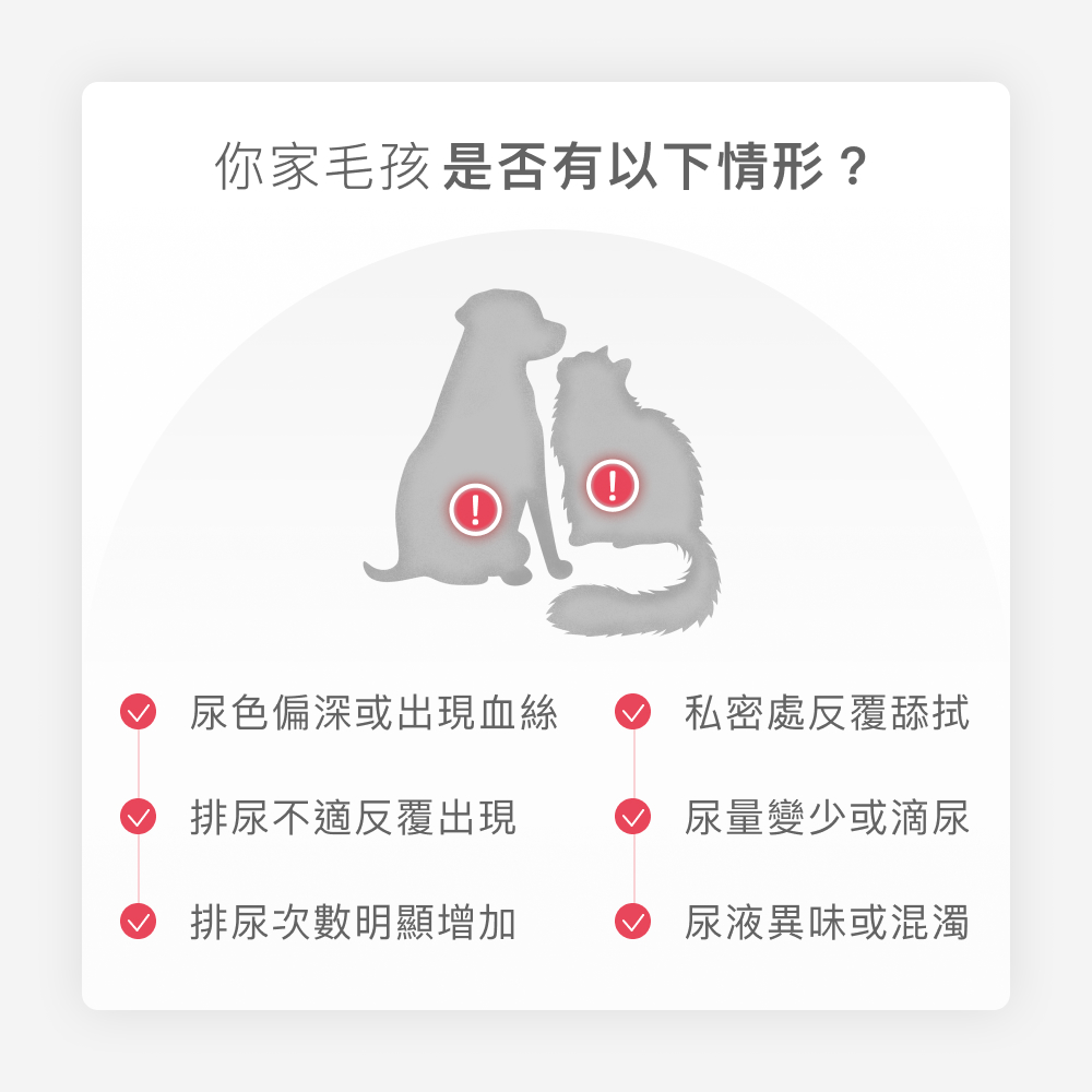 MOWOODS 蘑菇生技 | LS48泌尿道益生菌 500mg x 30粒
