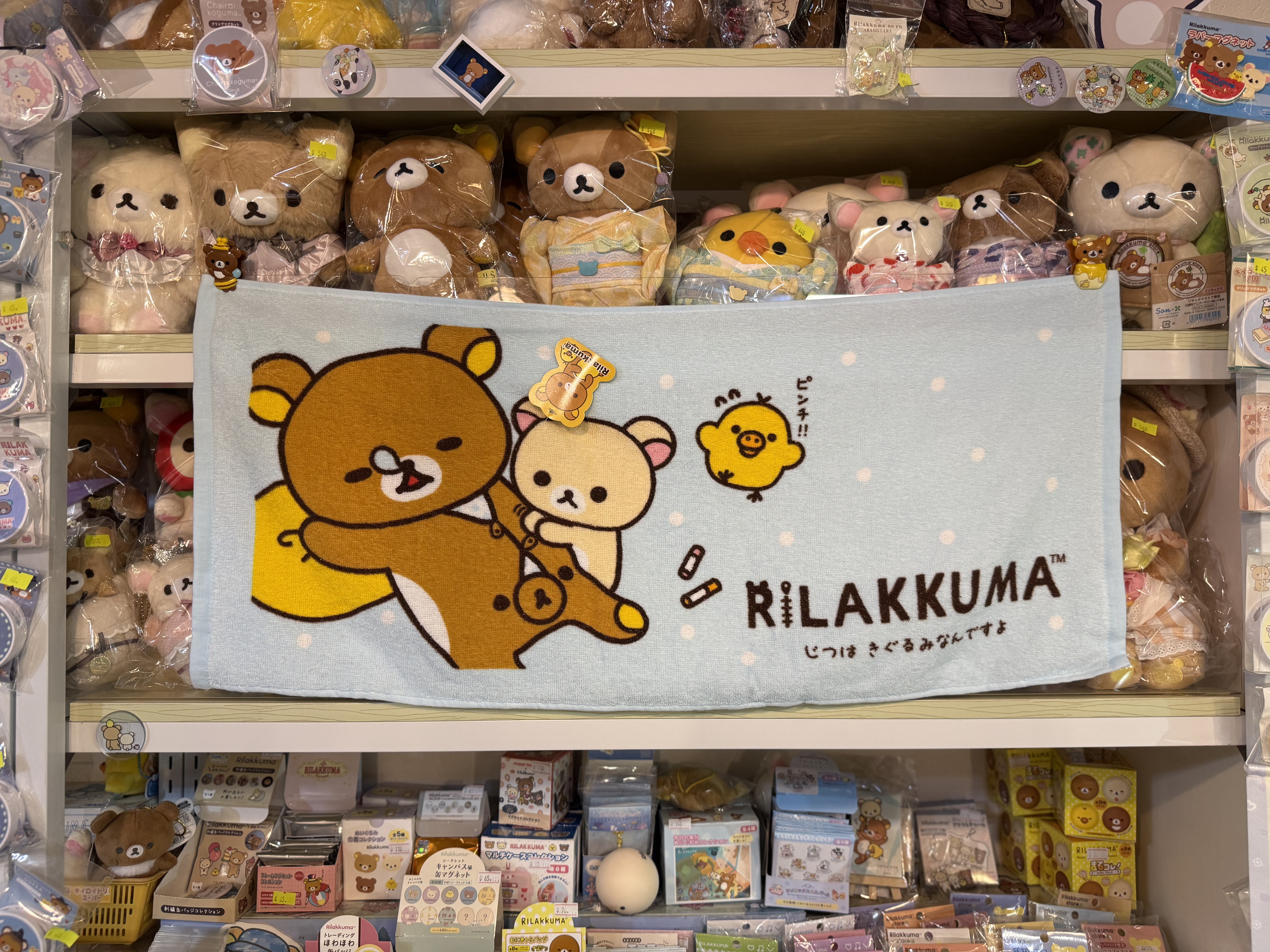 現貨》全新Rilakkuma 各款長毛巾