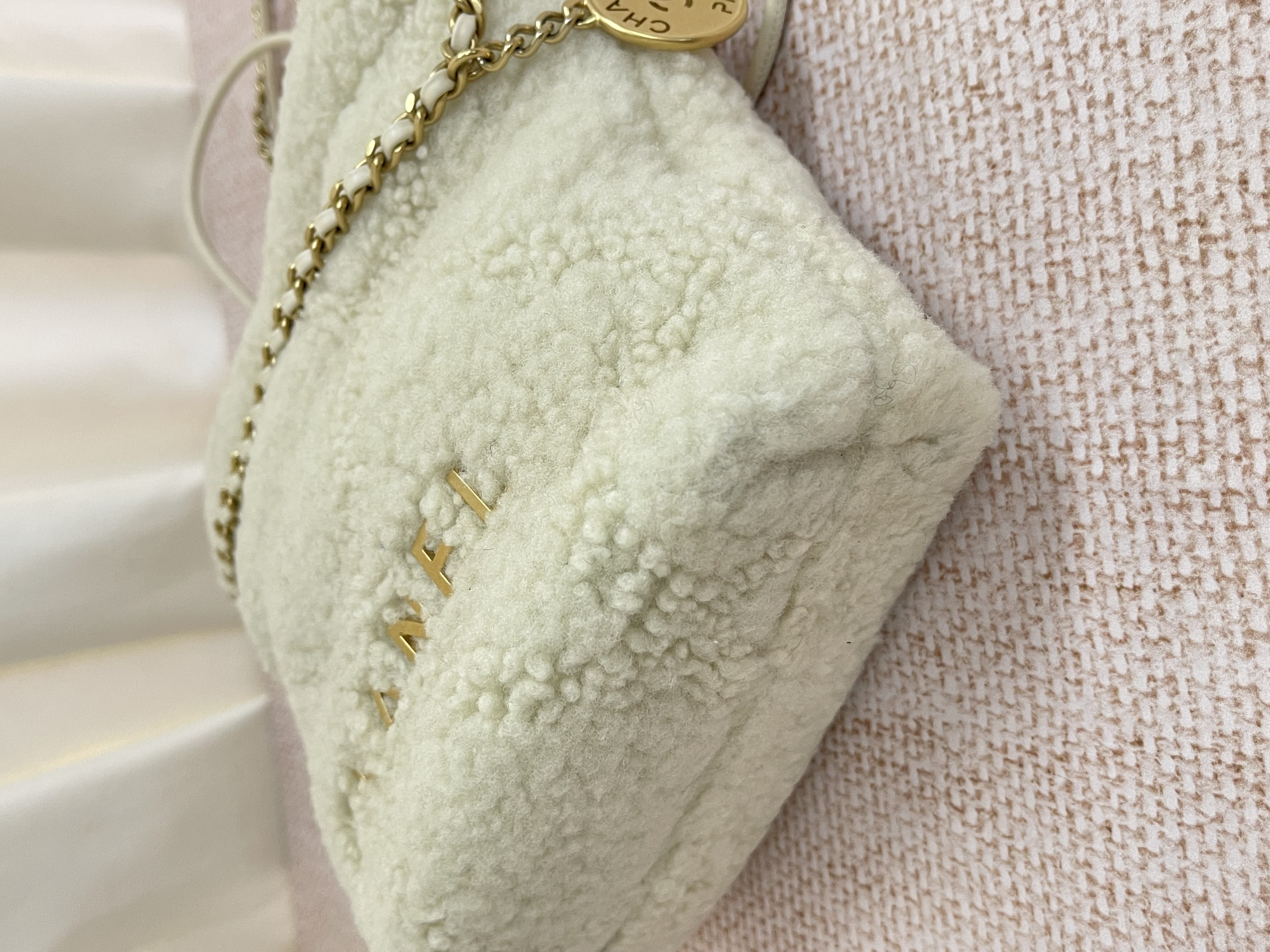 Pre-owned Chanel 22 Bag / Product Code: 26041519