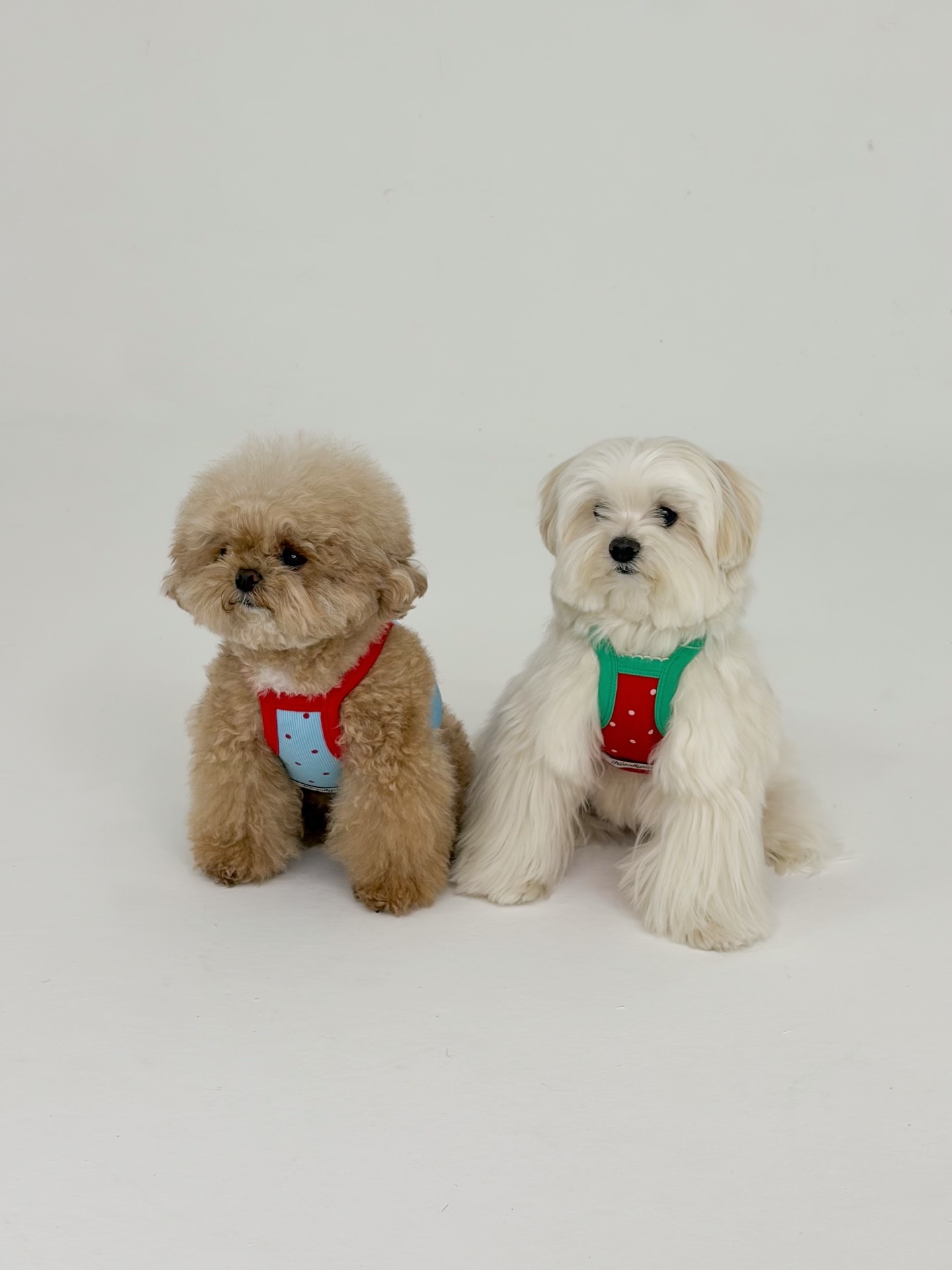 韓國🇰🇷Roody Bear Top