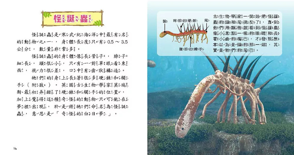 🔸預購貨品🔸史前動物小百科