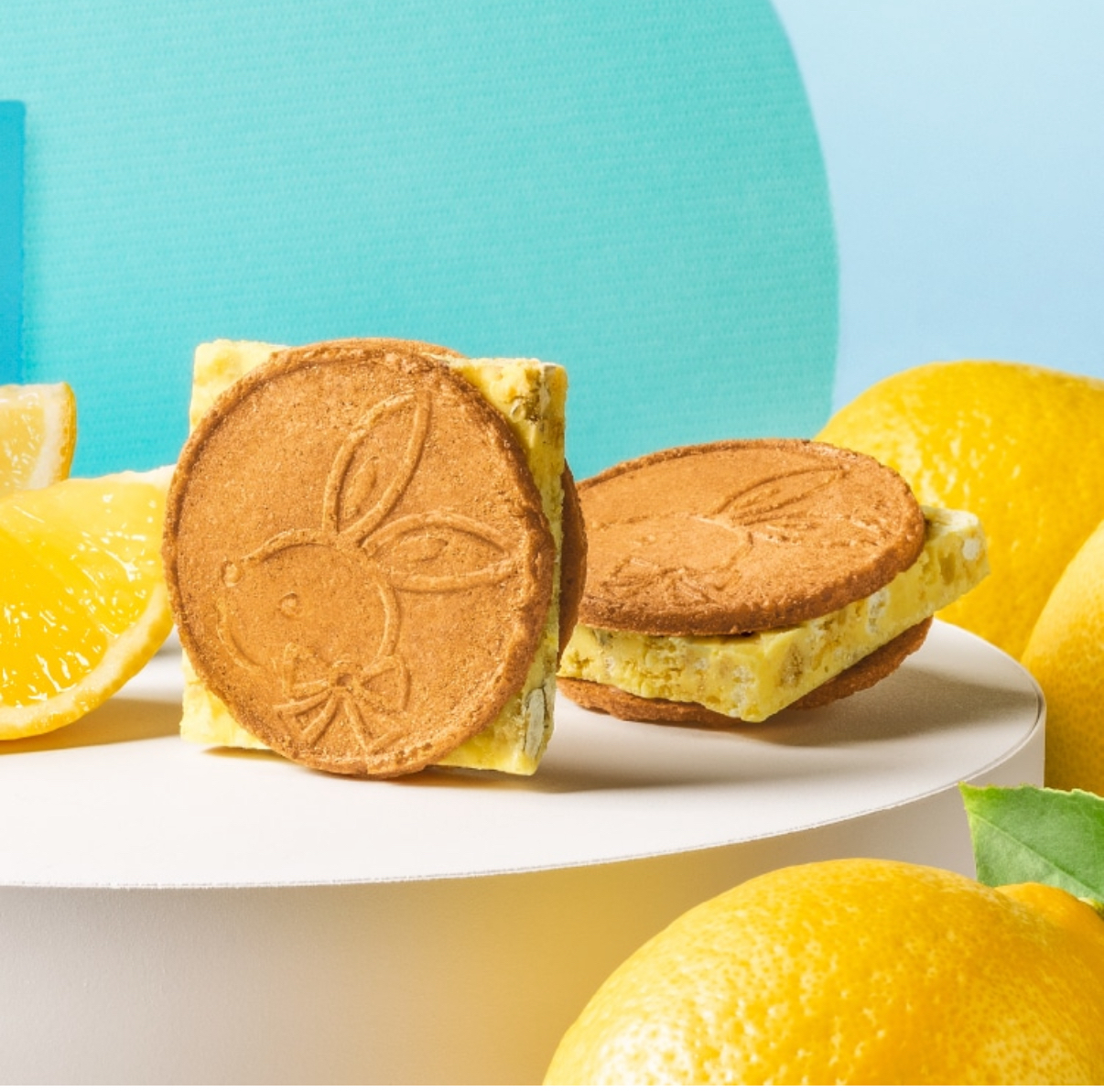 日本直送  日本 鎌倉五郎 夏限定 滿月 蜂蜜檸檬脆脆五重奏 厚切朱古力夾心 薄脆法蘭酥餅 禮盒  8入