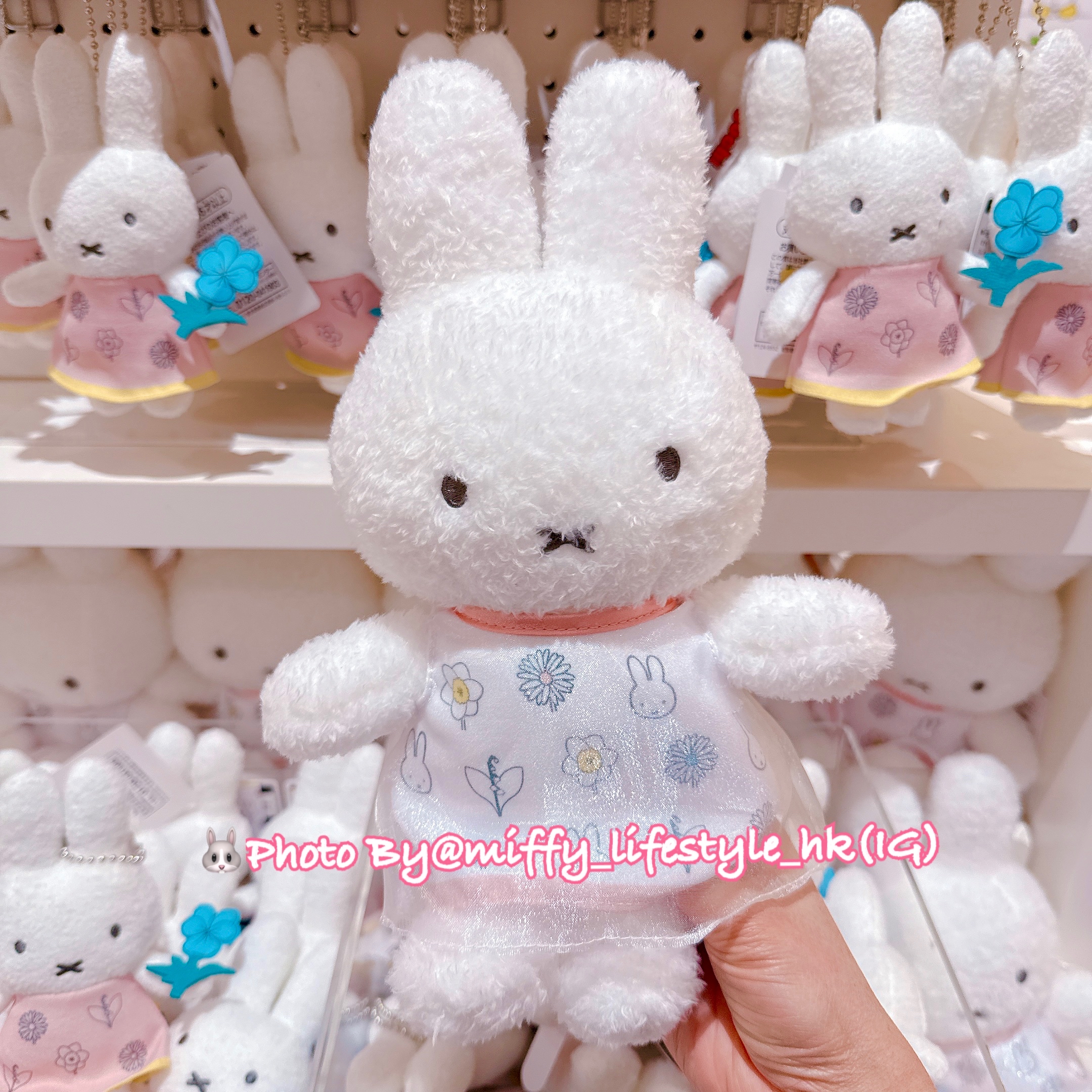🐰Pre Order  - miffy Bloom 紗裙公仔 "  不多接單, " ( 📦 大約3月底 到貨, 若遇到缺貨或其它因素貨期會延遲 ）