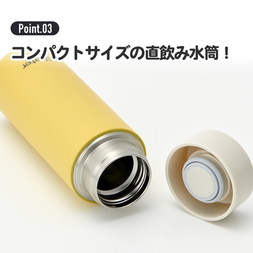 現貨｜龍貓 My Neighbor Totoro 宮崎駿 日版 Skater 不銹鋼膽 保溫杯 300ml (592980)