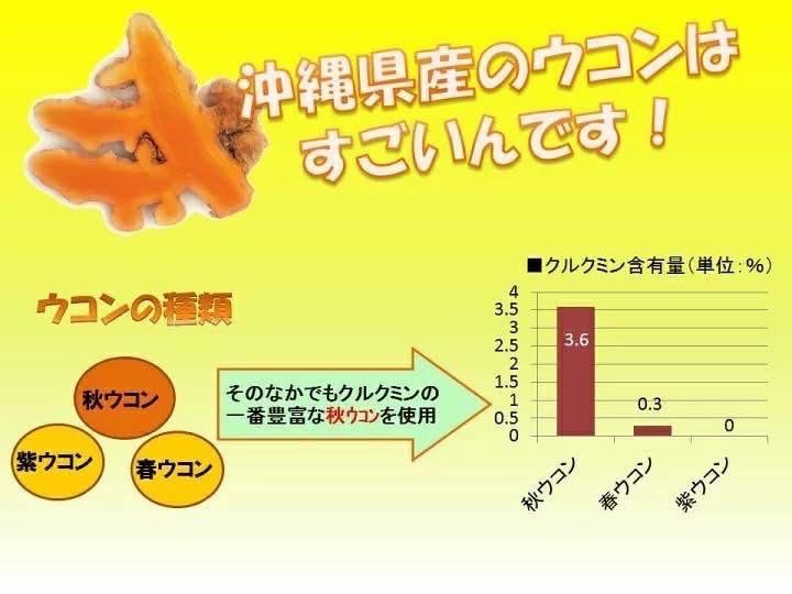 日本Costco直送 日本 沖繩薑黃堂 琥金醗酵 薑黃粒 3種薑黃 無添加 營養補充保健品 超值優惠裝禮盒 (1盒700粒)  