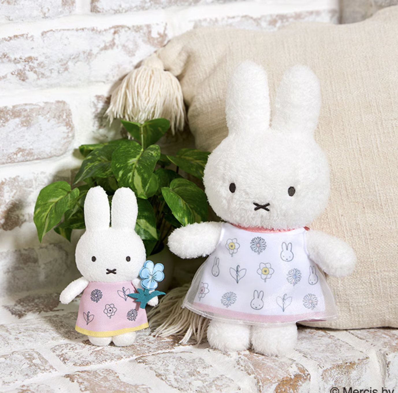 🐰Pre Order  - miffy Bloom 紗裙公仔 " 由於有限購, 不多接單, 滿額即止 " ( 📦 大約3月底 ~ 4月中到貨, 若遇到缺貨或其它因素貨期會延遲 ）