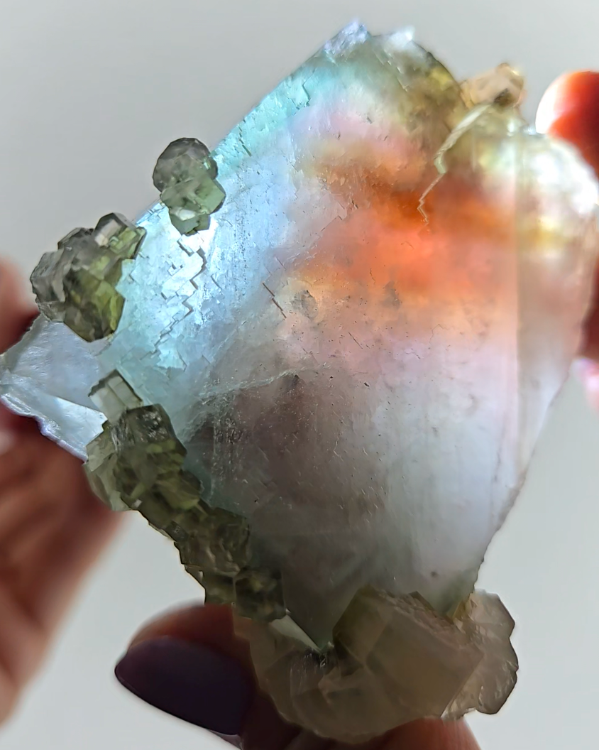 Red phantom fluorite with columnar UV calcite - FL232