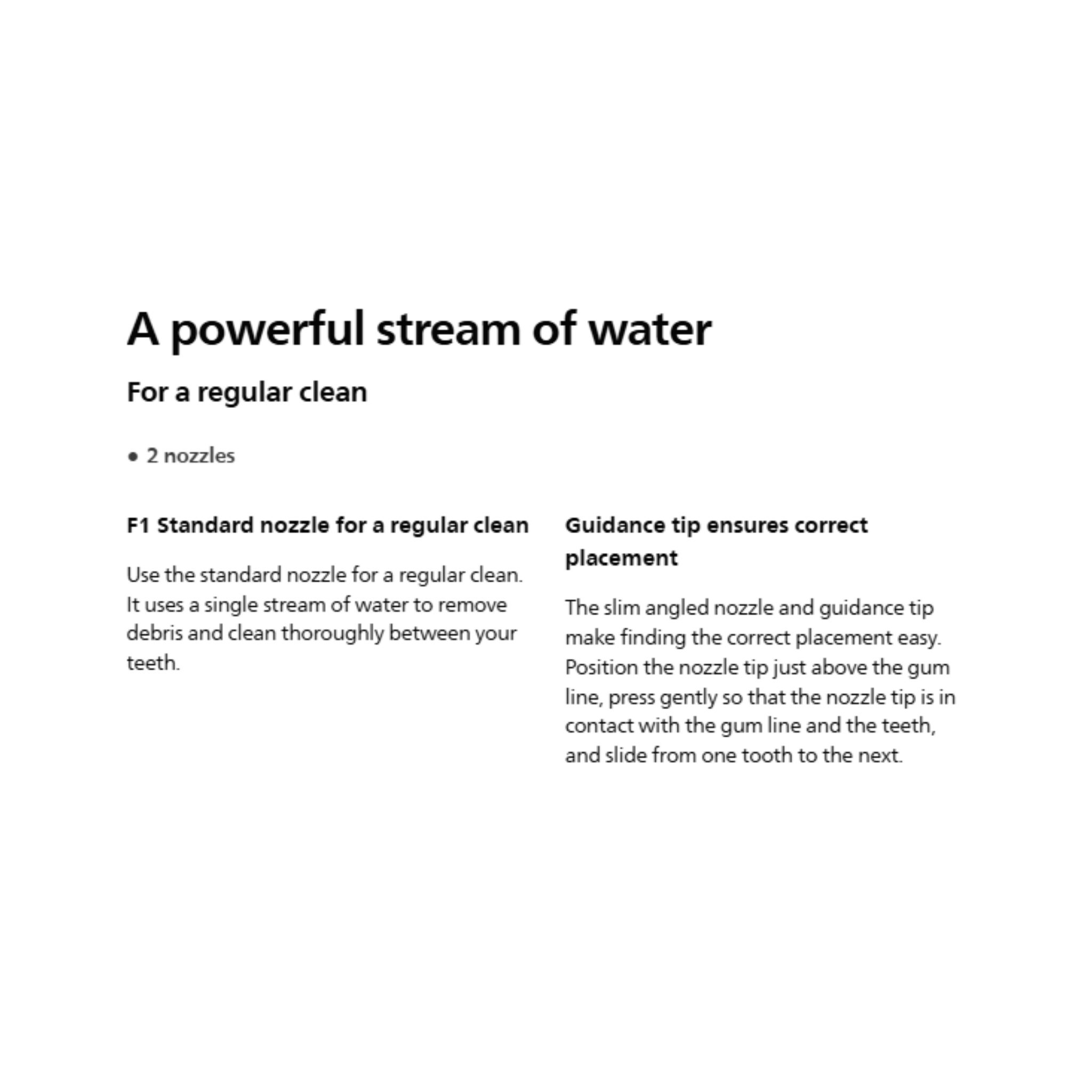 Philips Sonicare F1 Standard Power Flosser Nozzle (HX3042/00)