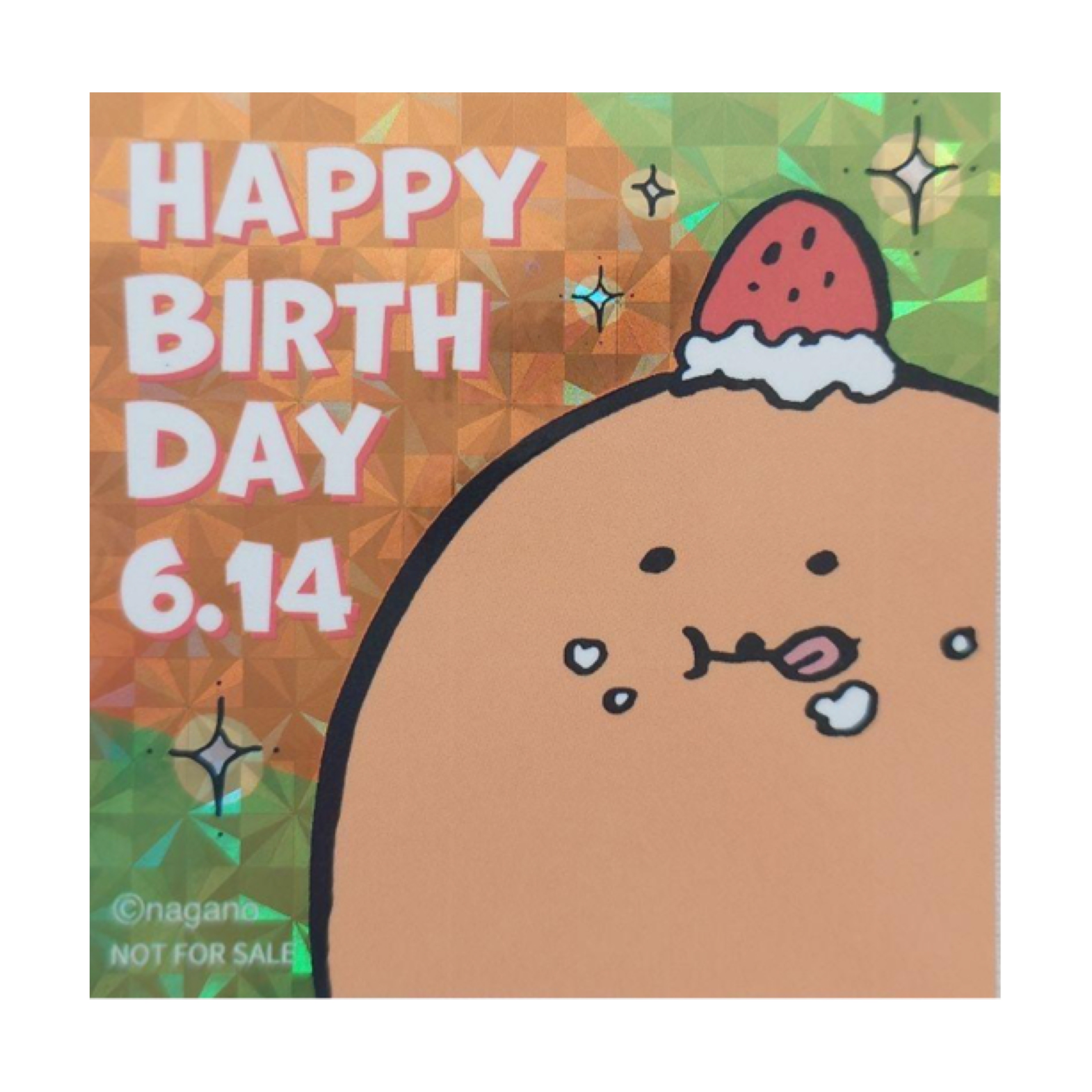 自嘲熊 貼紙｜現貨