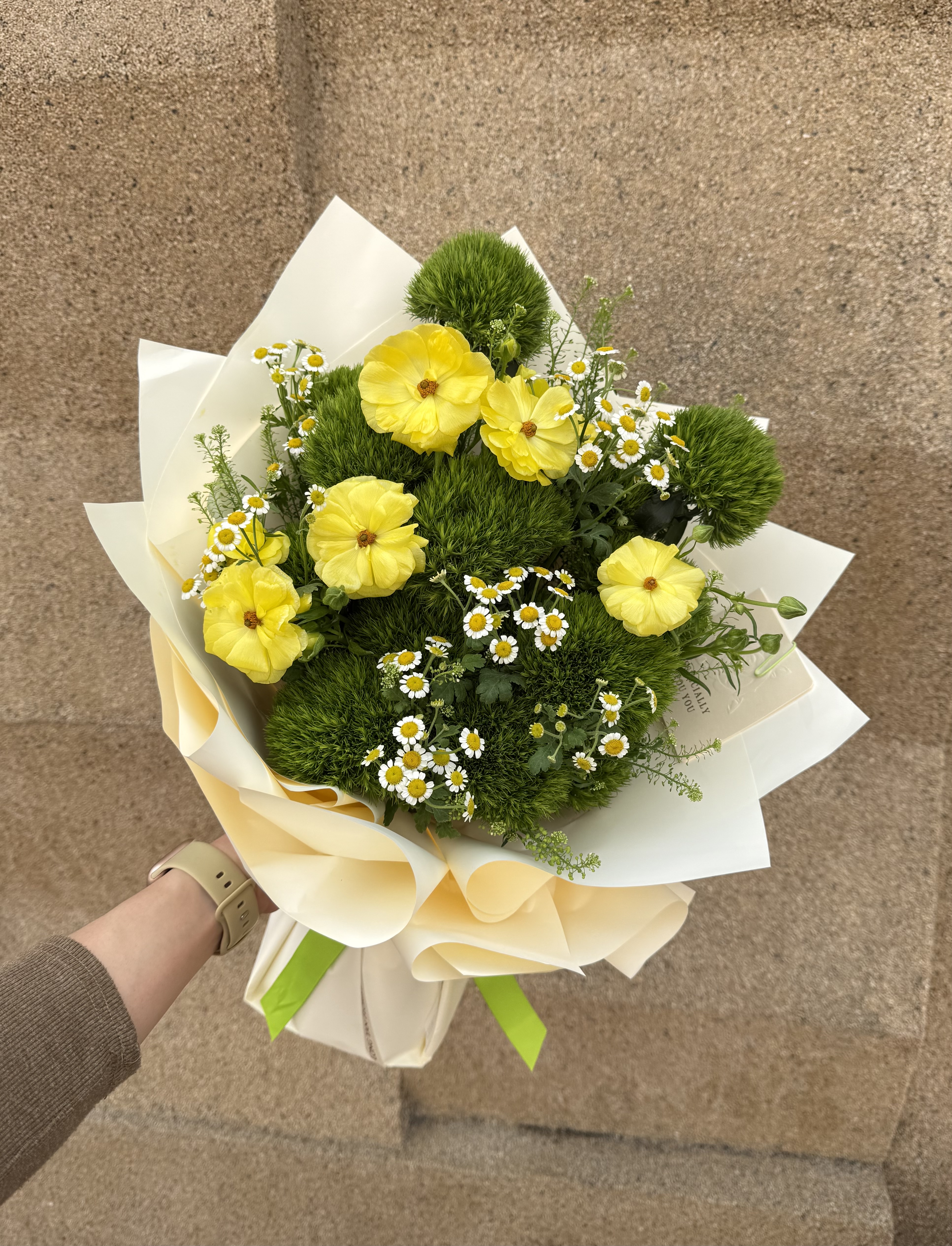 綠毛球花配小雛菊花束_38001