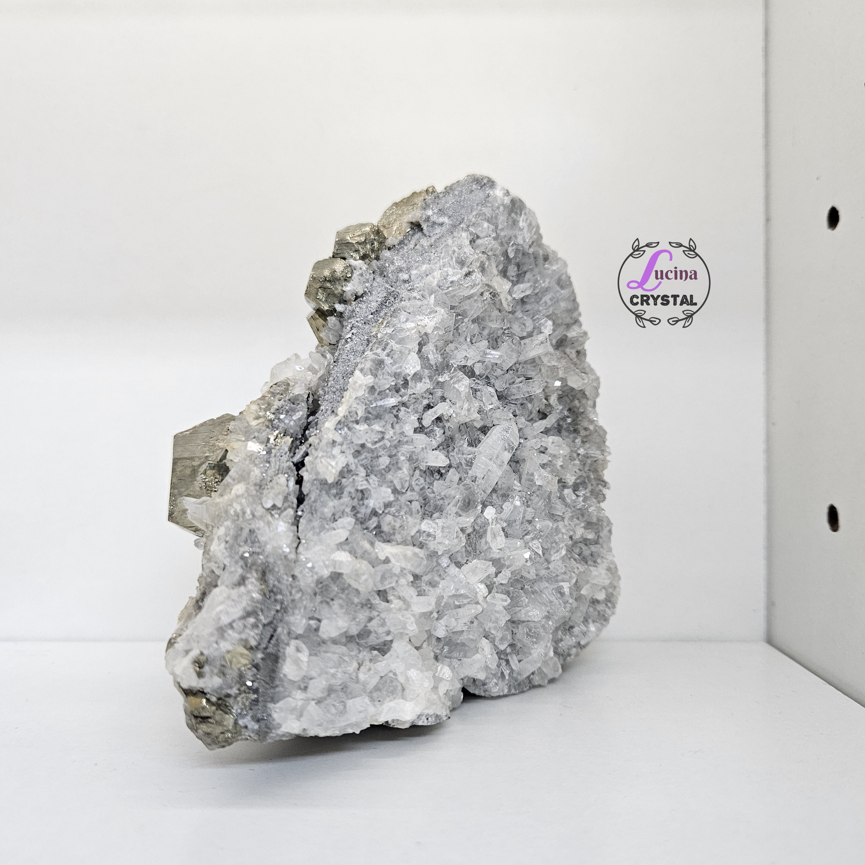 (Co#LC8546)白水晶共生黃鐵礦晶簇/White Quartz Crystal Cluster with 𝘗𝘺𝘳𝘪𝘵𝘦