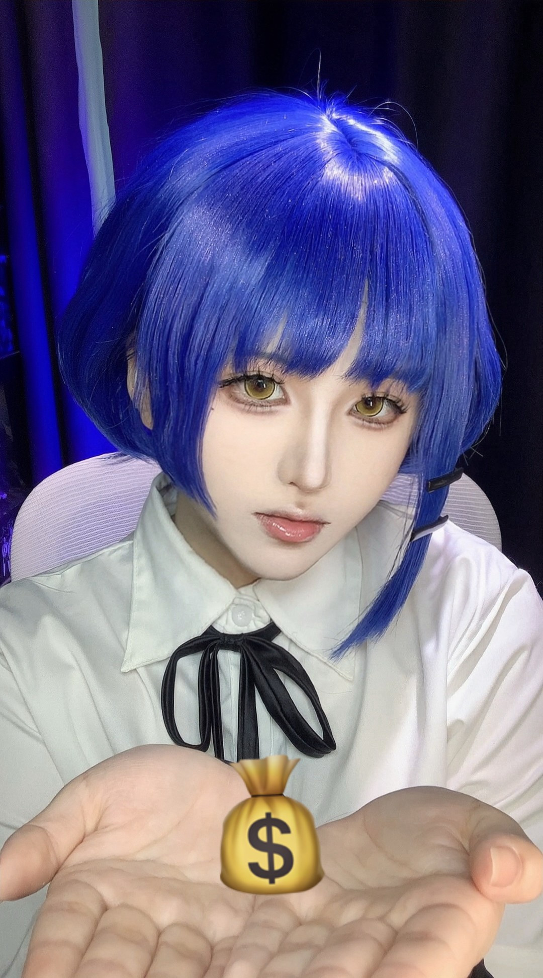 Dgugulens 日拋 波崽糕系列