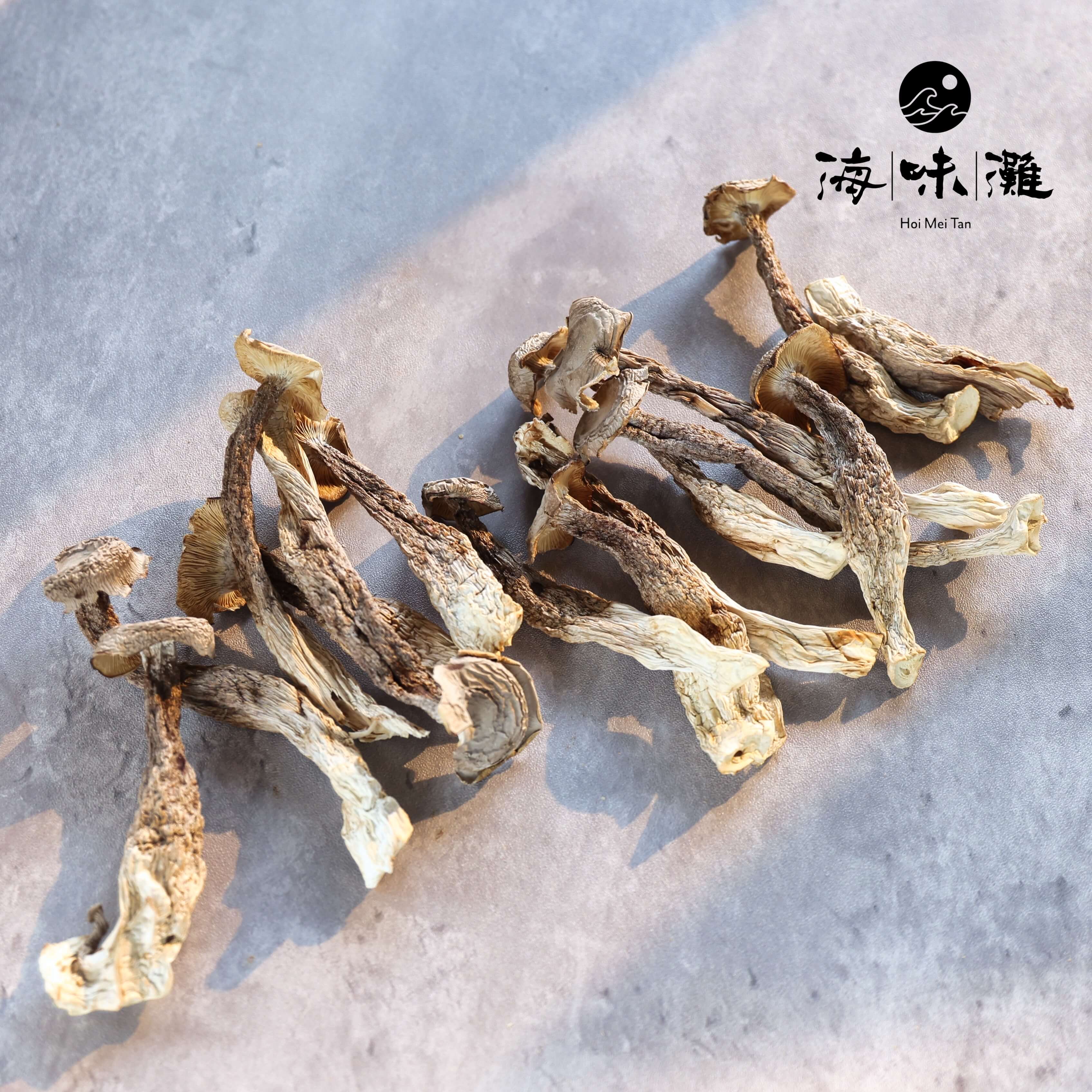 特級鹿茸菇－清香撲鼻｜爽脆可口