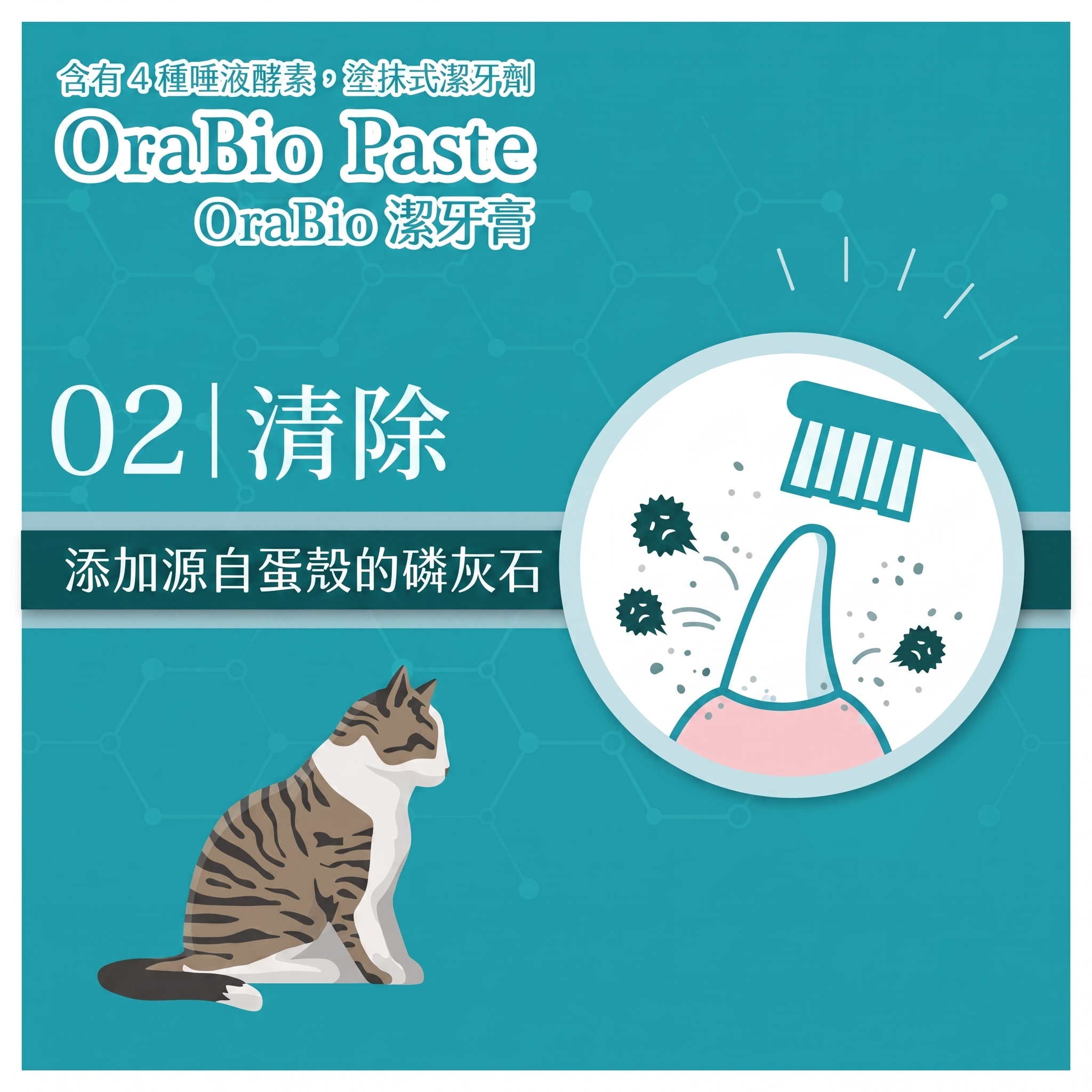 OraBio🇯🇵PRO 升級版無添加酵素牙膏 (無香料 / 50g)