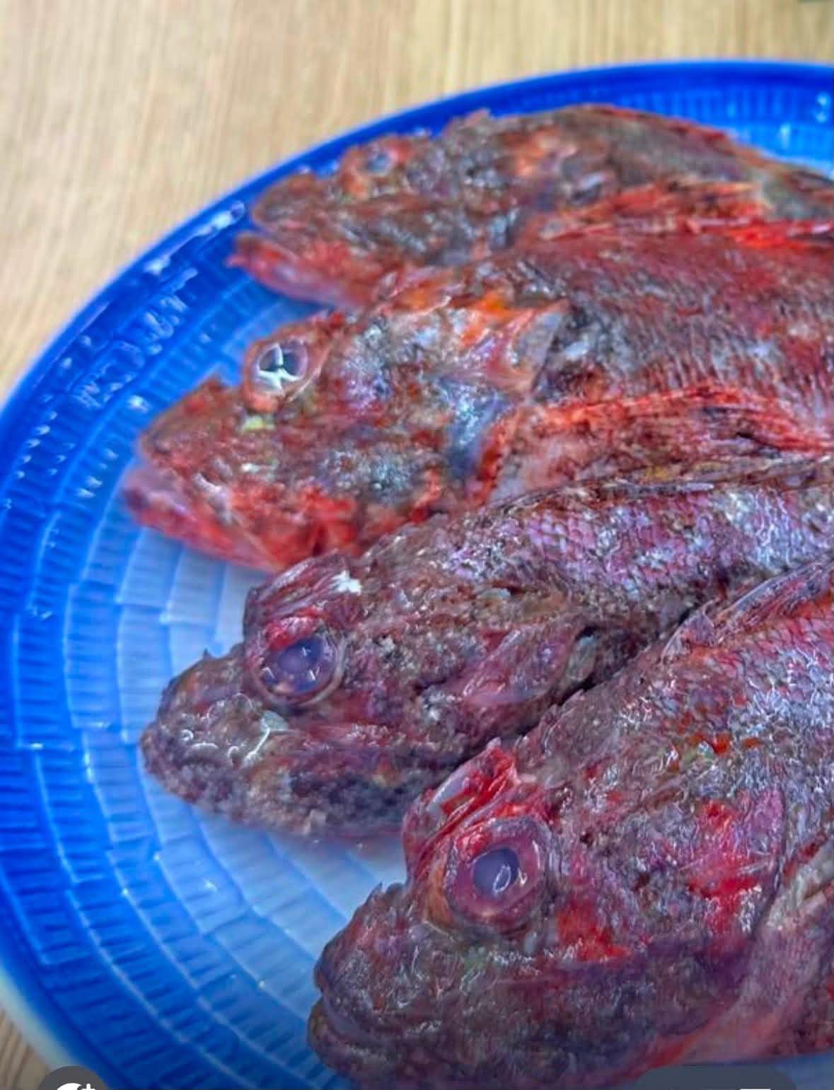🚗Carmen 媽媽 養生愛💝靚湯💢南海(野生)石崇魚湯🌊🐟400g （2碗裝）