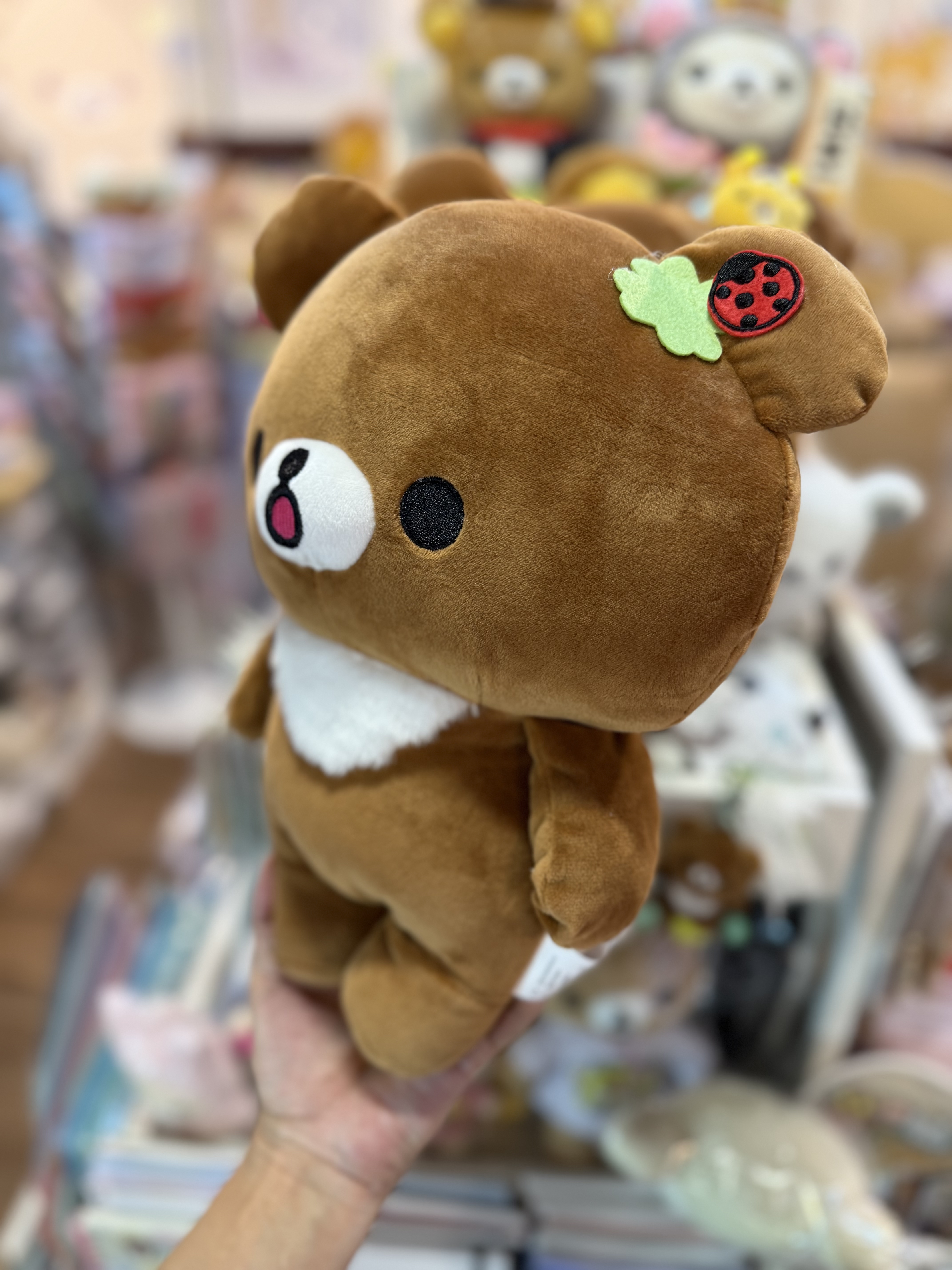 《現貨》全新日本限定小熊10週年紀念系列 茶小熊公仔
