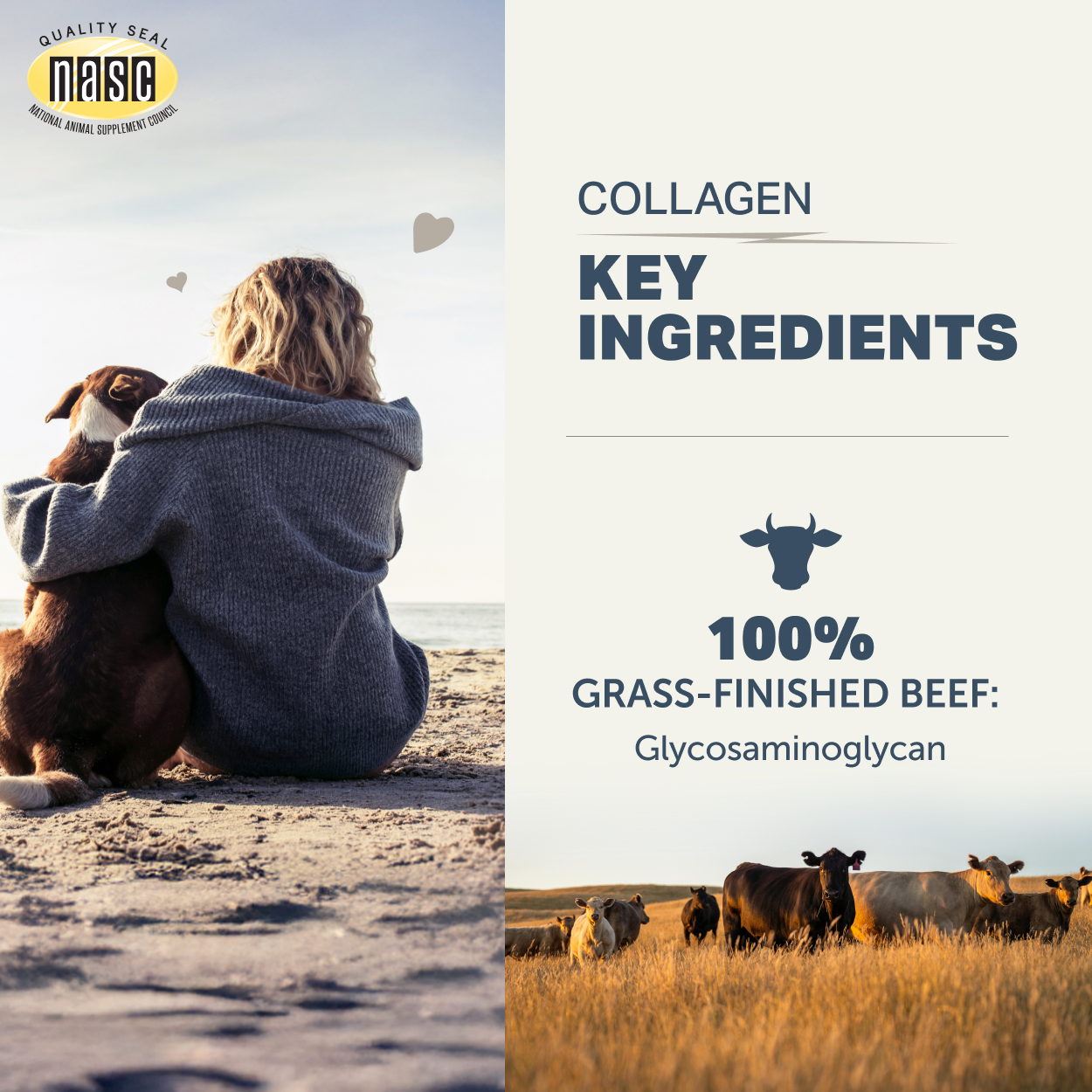 【Four Leaf Rover】Collagen Peptides 膠原蛋白胜肽粉 (84.9g)｜軟骨修復・關節靈活性・天然軟骨素