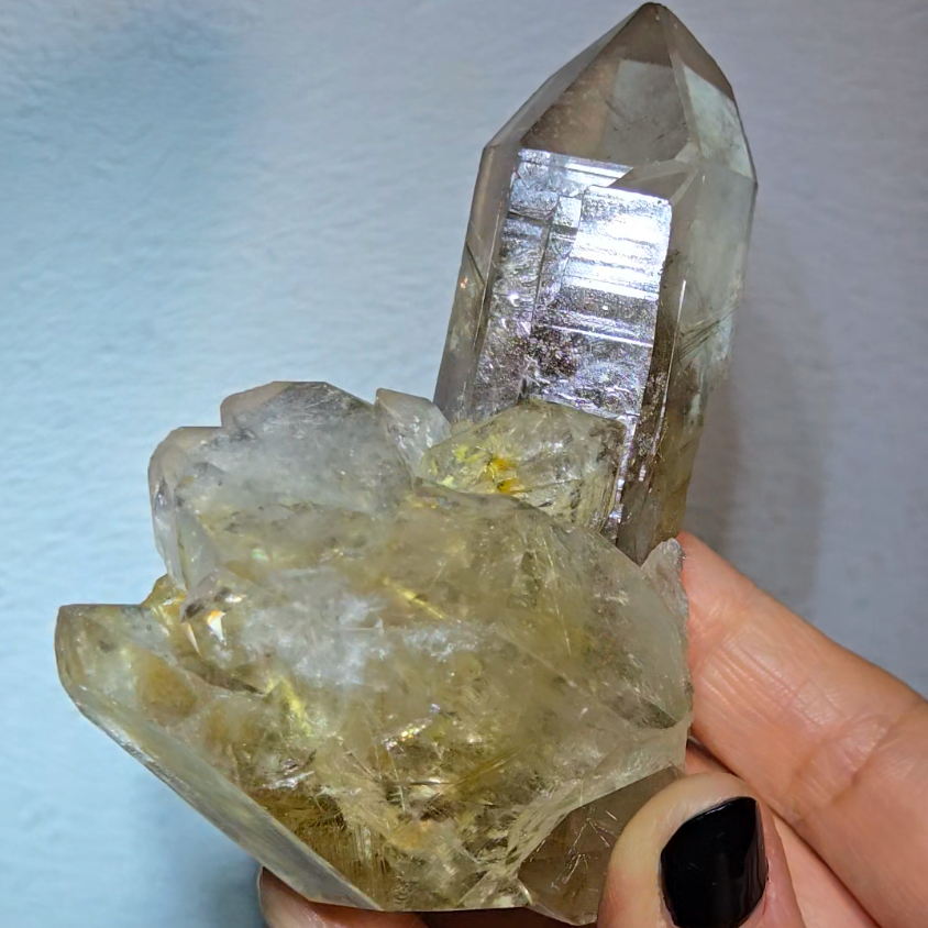 Golden starburst rutiles on black hematite in quartz - RT1429