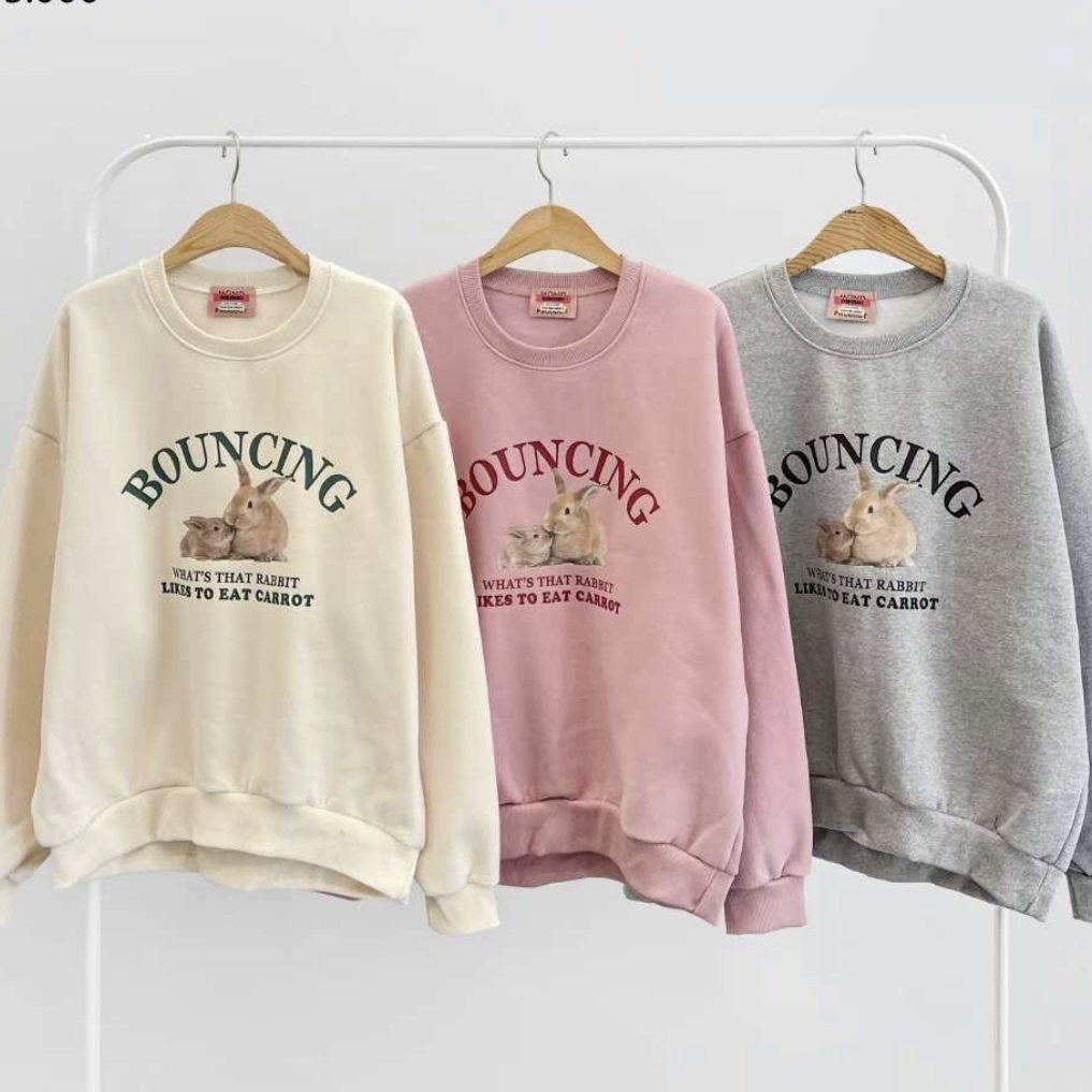 已售罄❌韓國薄絨毛兔仔hoodie 