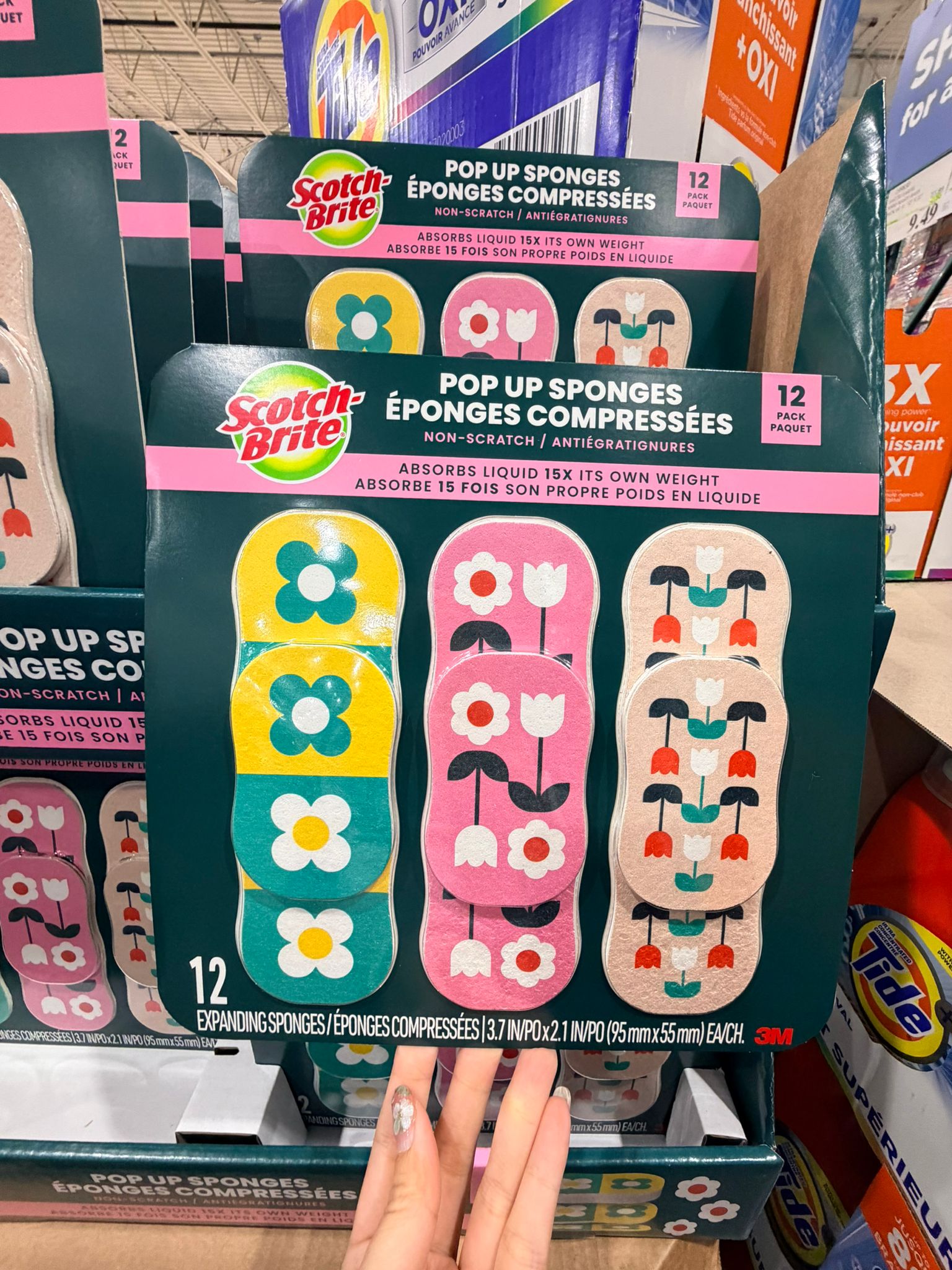 Scotch Brite Pop Up壓縮海綿12塊