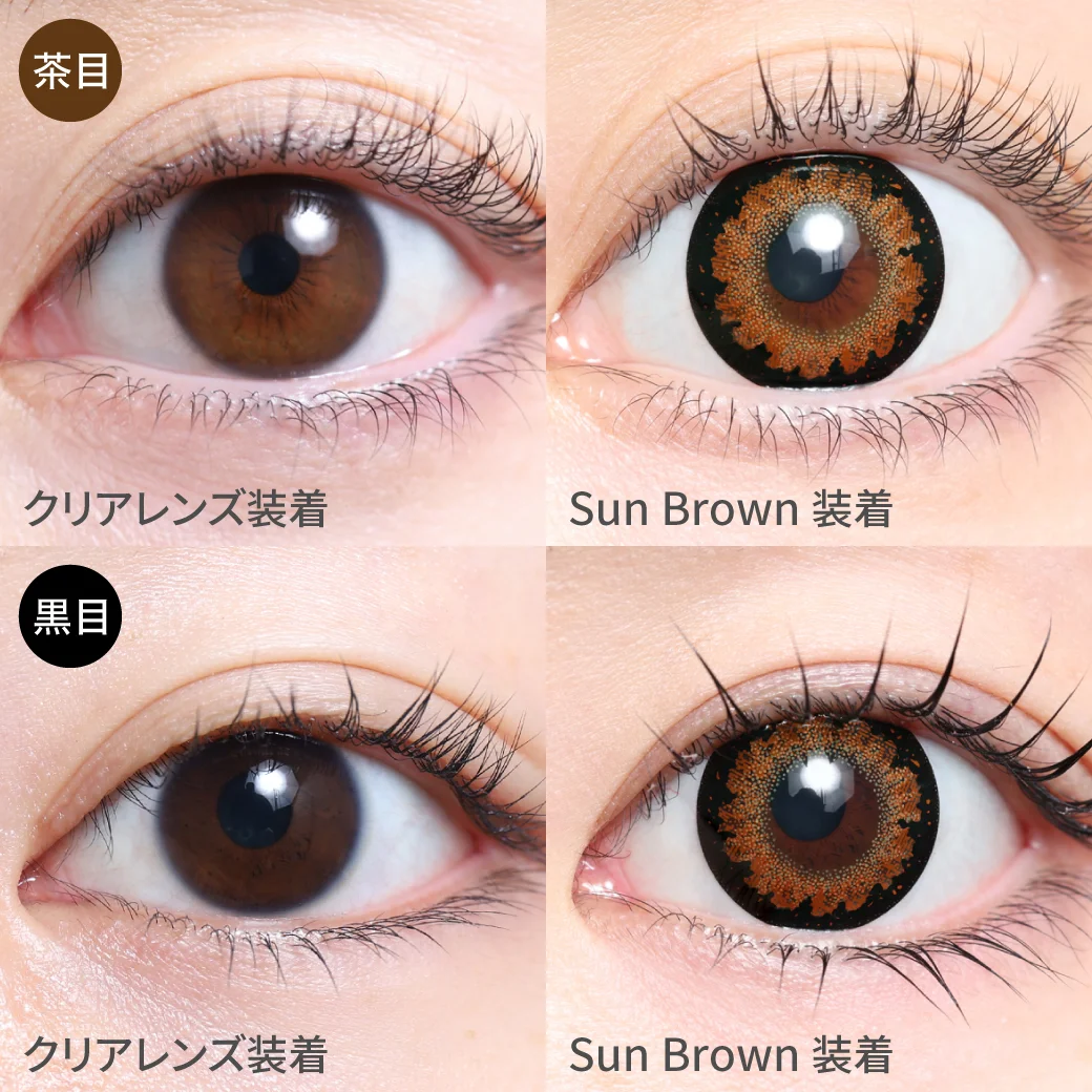 TeAmo - Piton Sun Brown (1day/10P)