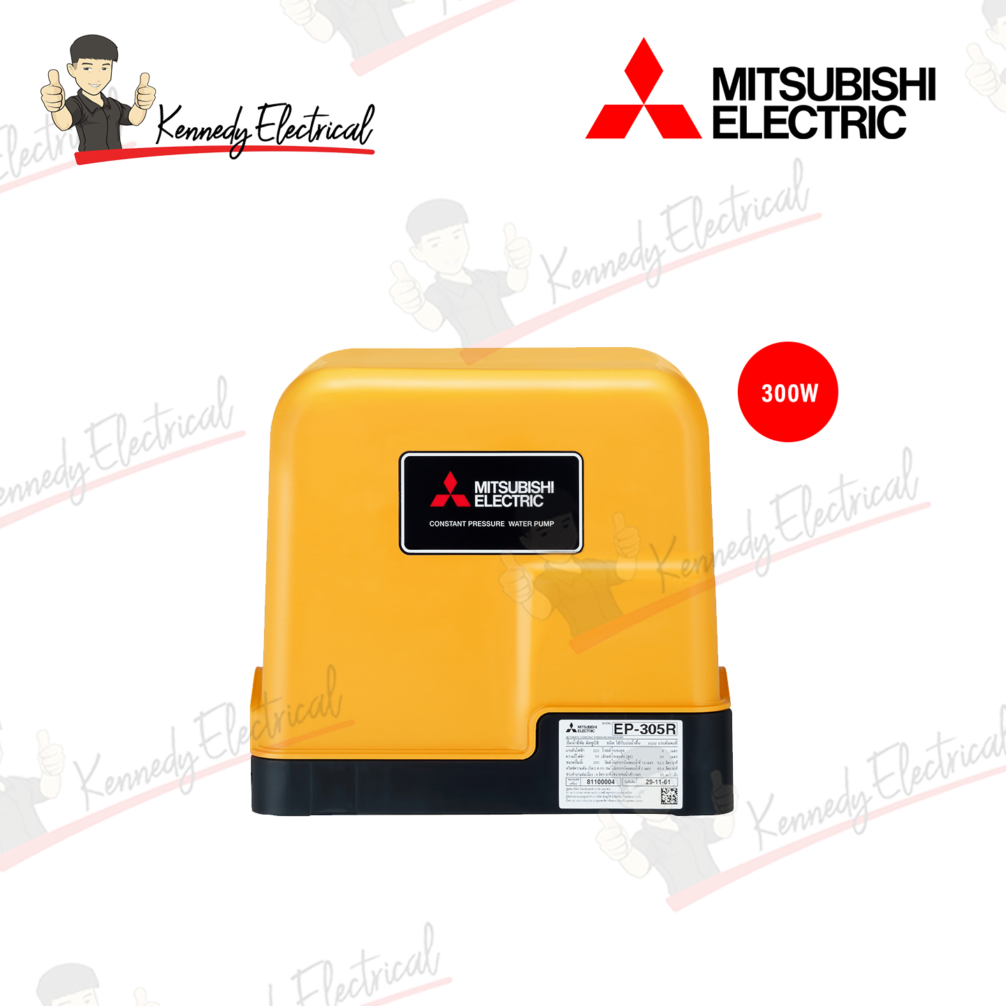 Mitsubishi 300W Automatic Pressure Pump EP-305R