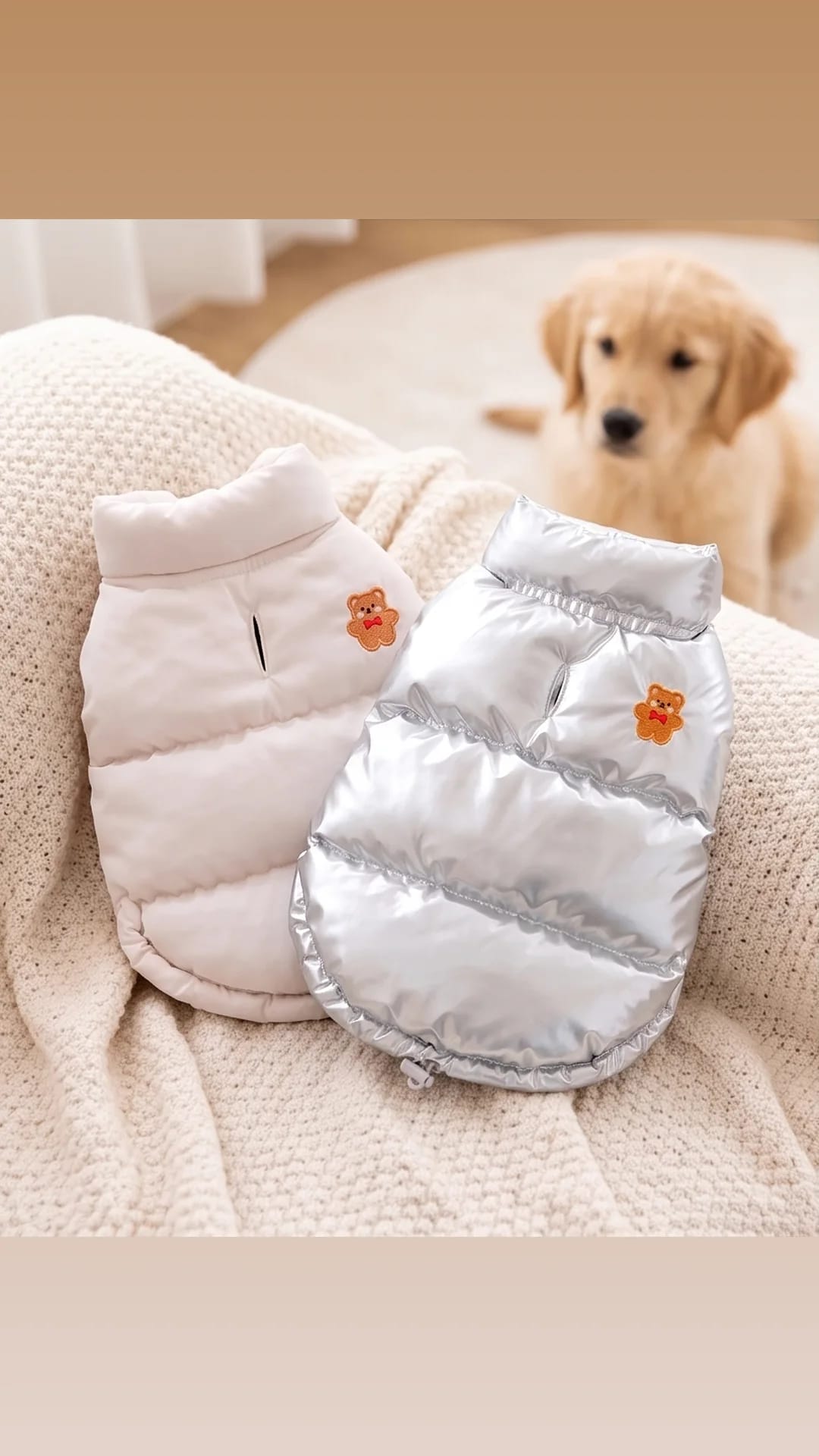 HONEY DOG🇰🇷 小熊刺繡發熱保暖背心連帽套裝 (3色)