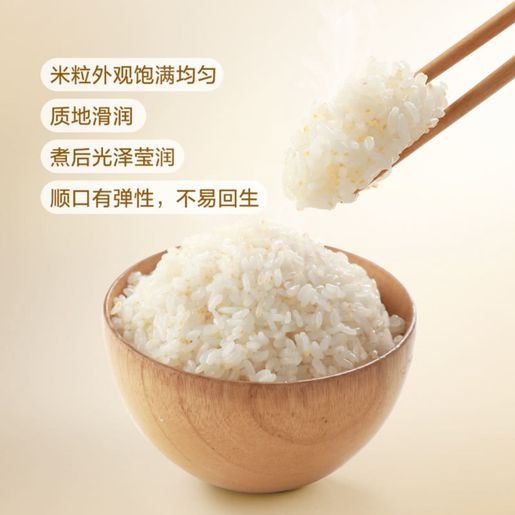 Member's Mark - 金龍魚 免淘洗胚芽米 5kg (1.25kg*4包) *新包裝 平行進口 此日期前: 2026-03-24