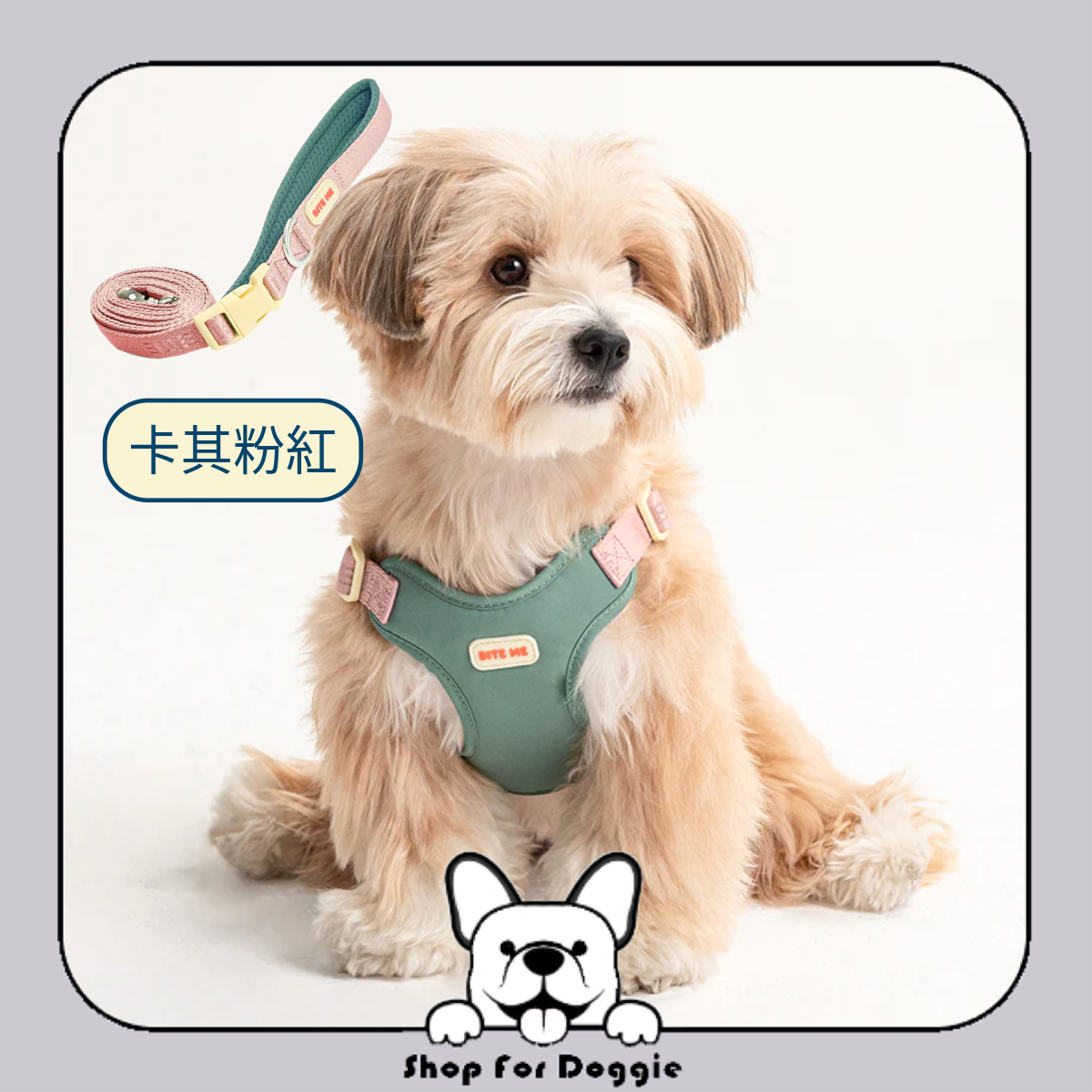 [訂貨3-4星期] 韓國 Bite Me Comfort Harness v2 胸背帶