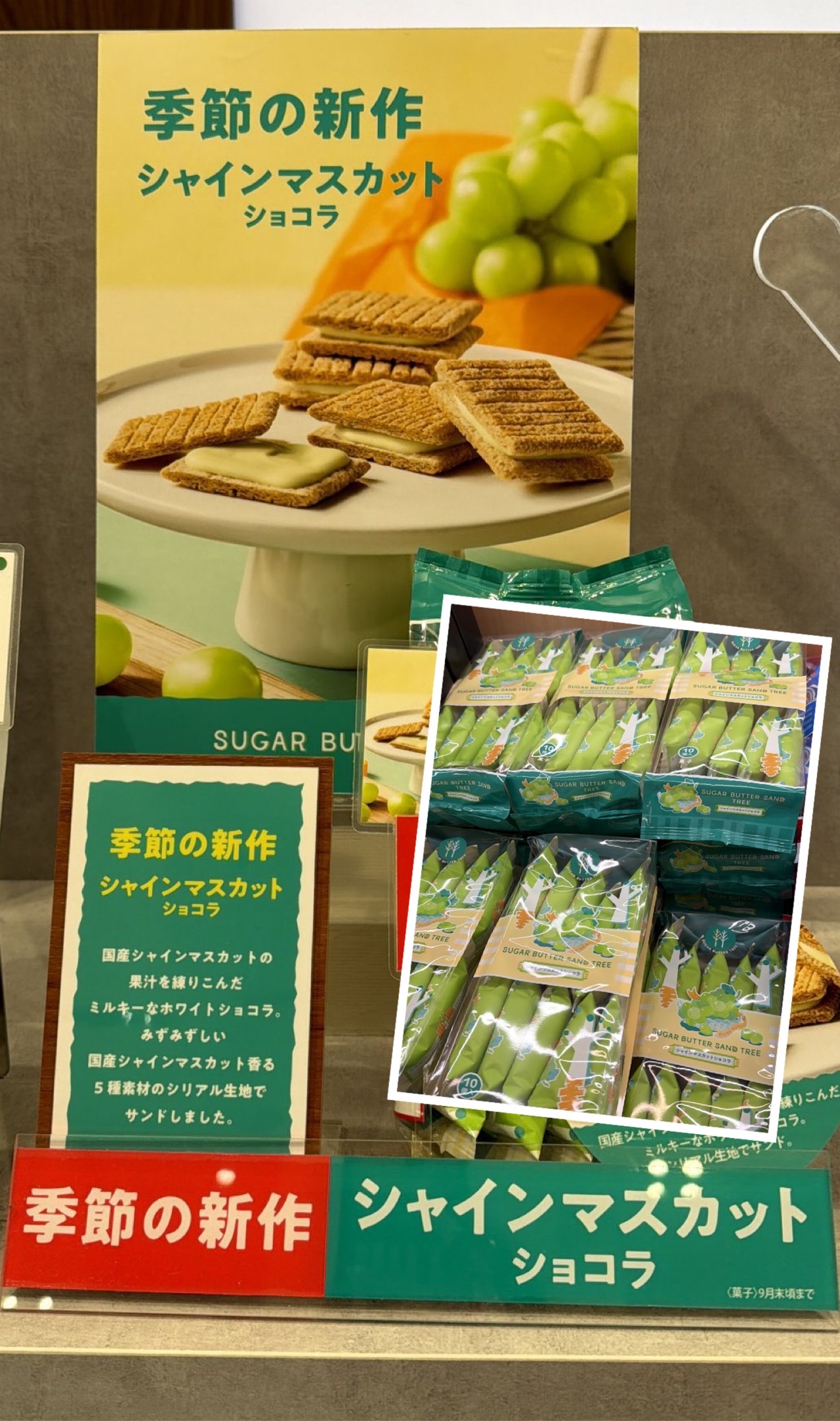 日本Sugar Butter Sand Tree 青提奶油夾心酥餅10件