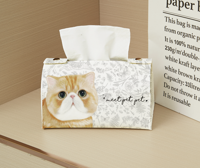 ⋆ 異國短毛 ⋆ 紙巾套 ⋆ Exotic Shorthair ⋆