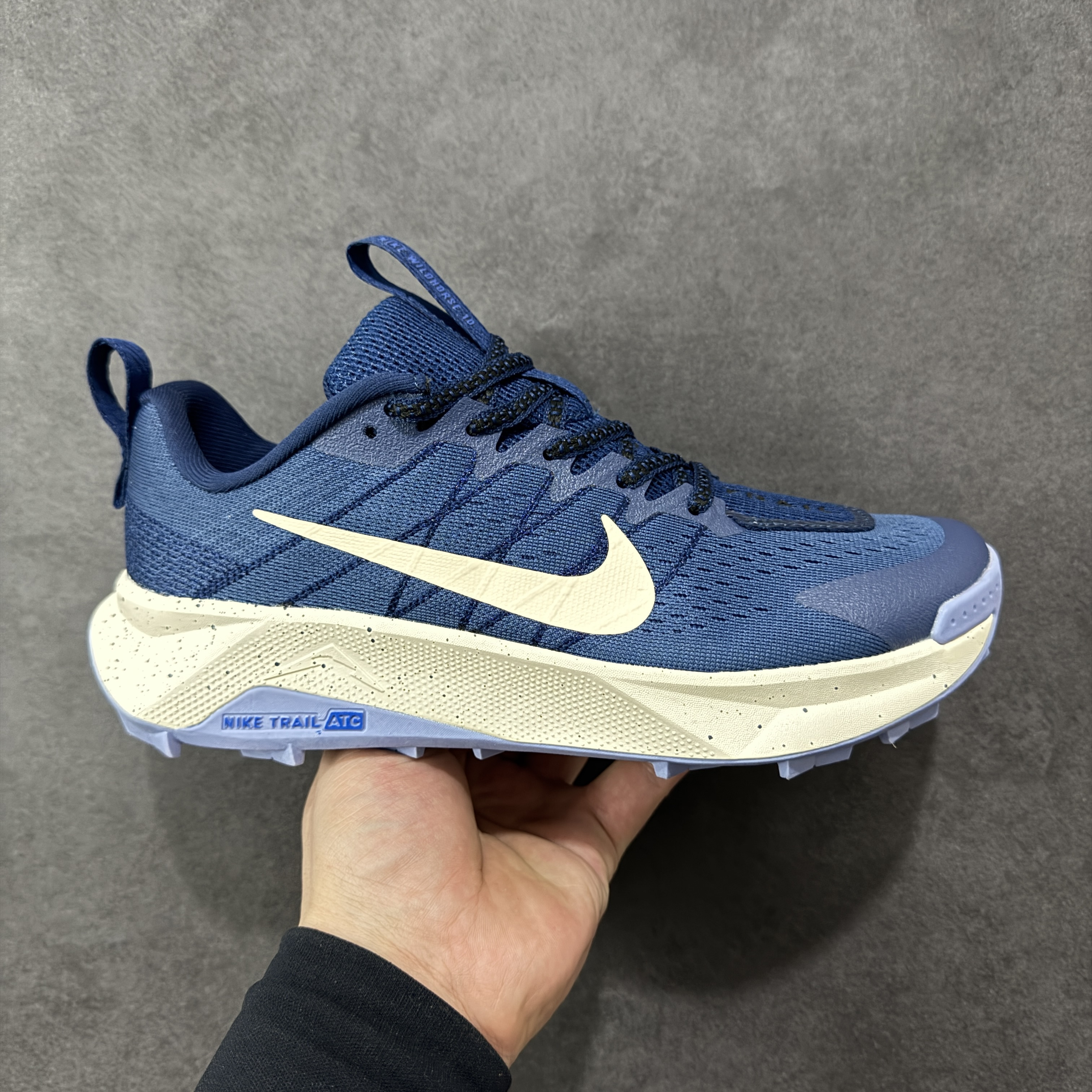 Nike ReactX Wildhorse 10 FV2337-400