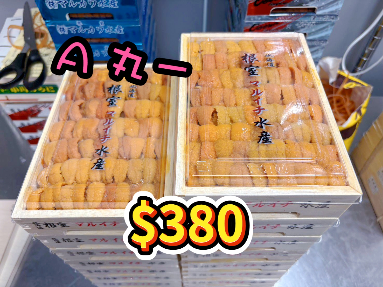 多款日本海膽  4月14日下午2時到貨