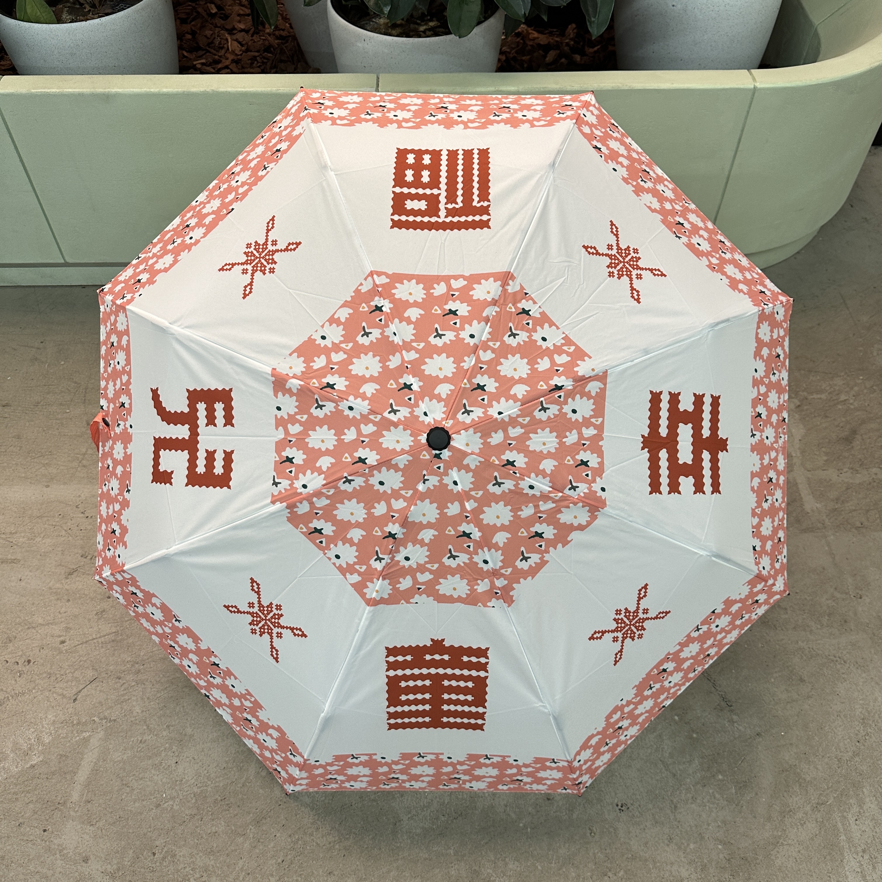 雨傘Umbrella | 香港淳記Seon Hong Kong