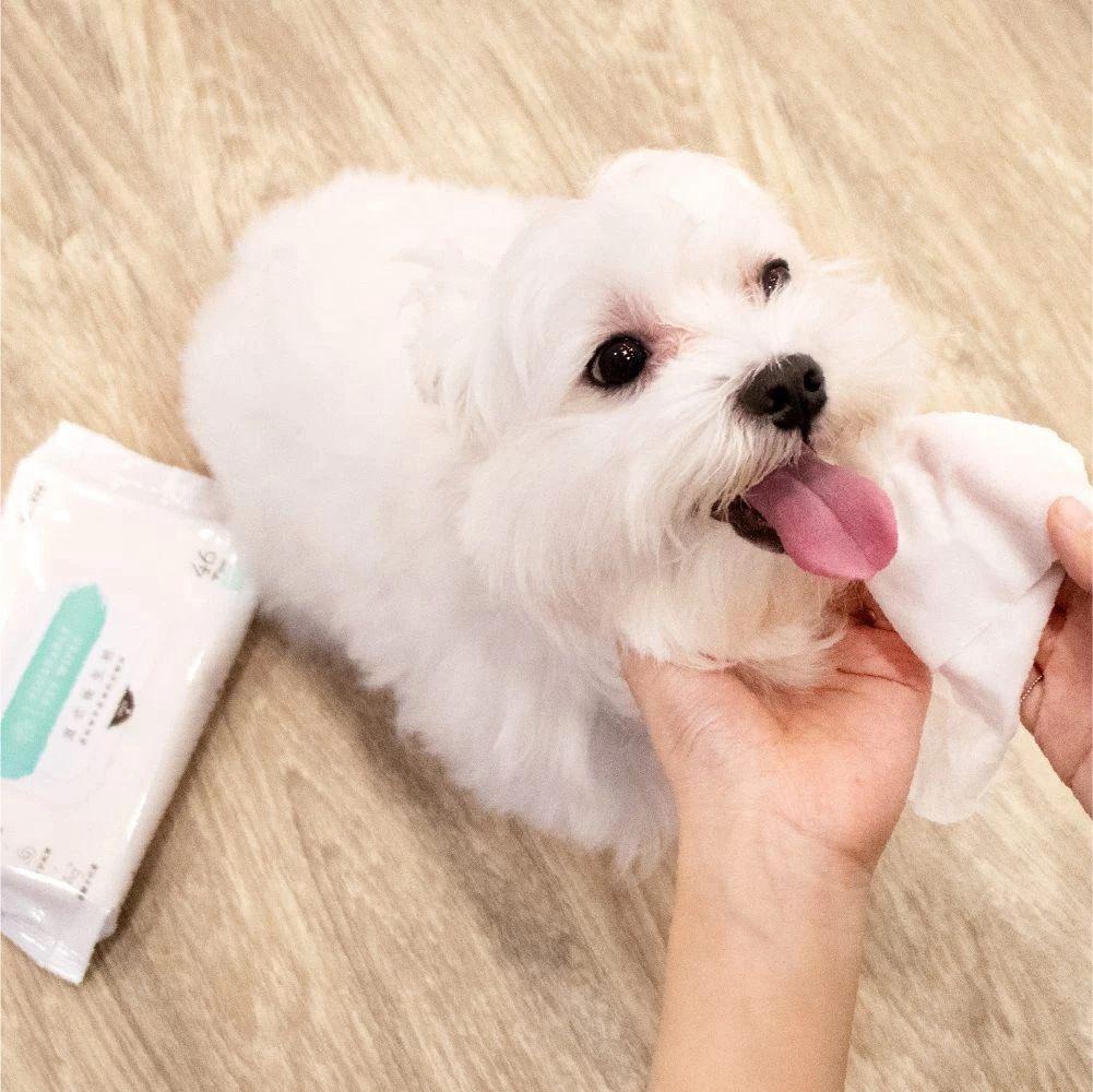 汪喵星球-汪喵濕式衛生紙｜46 抽（一套6包）