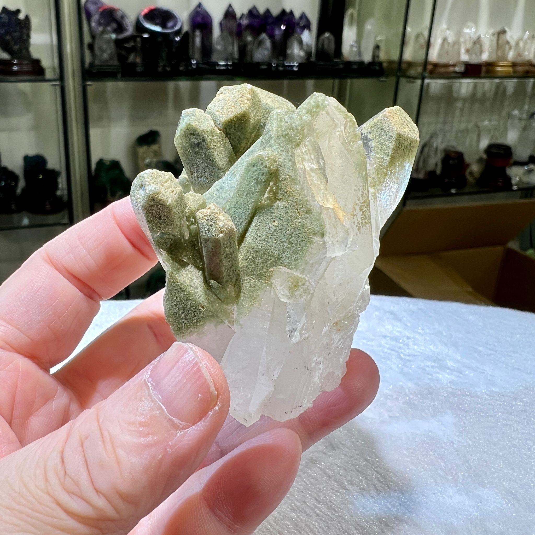 綠幽靈簇 (連座)